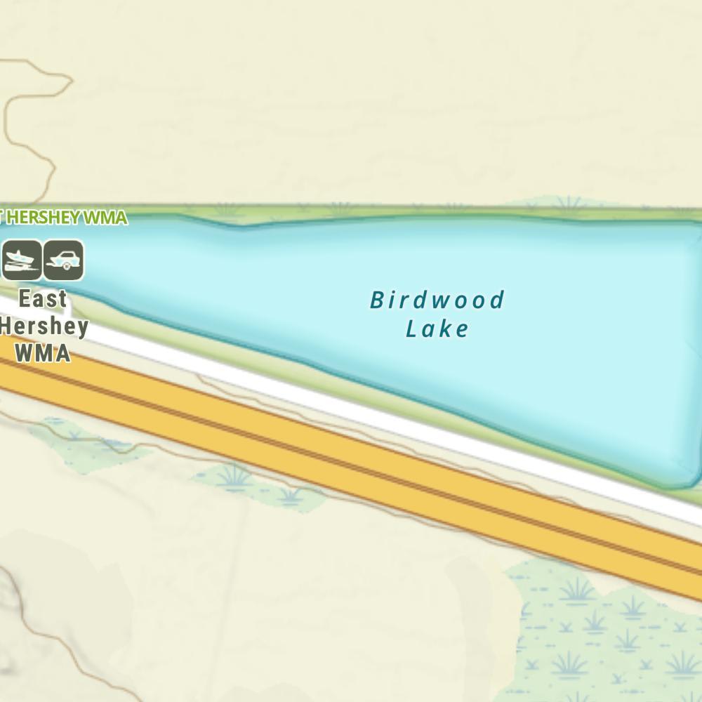 Birdwood Lake photo