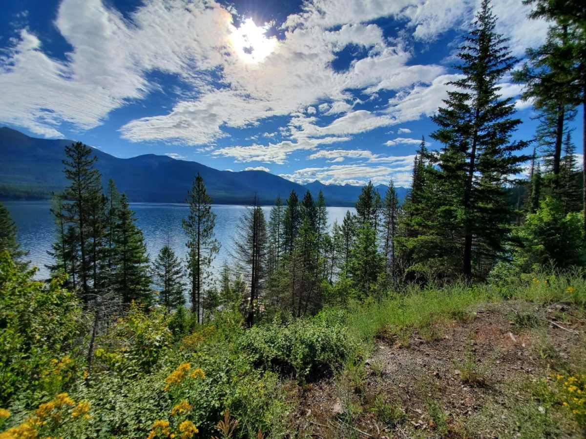 Hungry Horse Reservoir - West photo 5