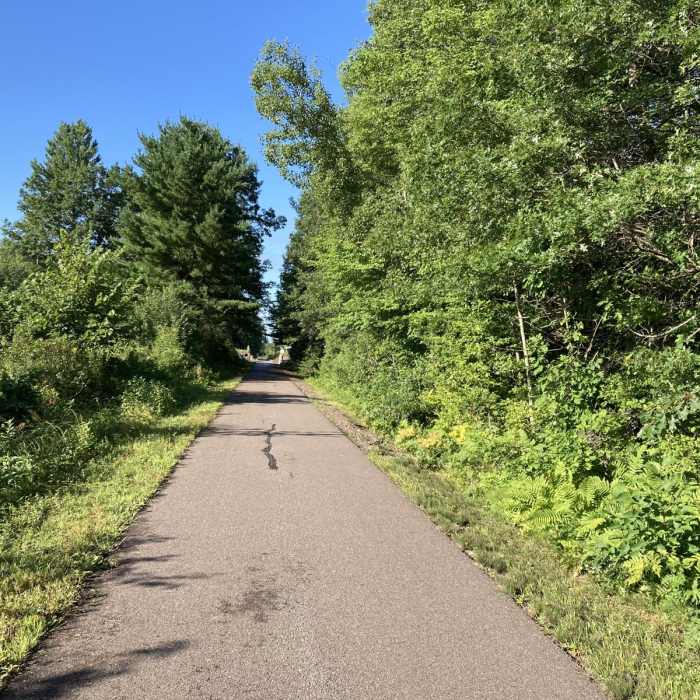Near Old Abe State Trail