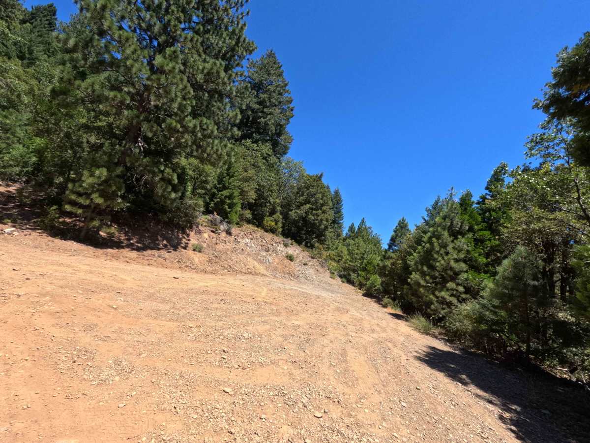 Sierra Buttes Road photo 5