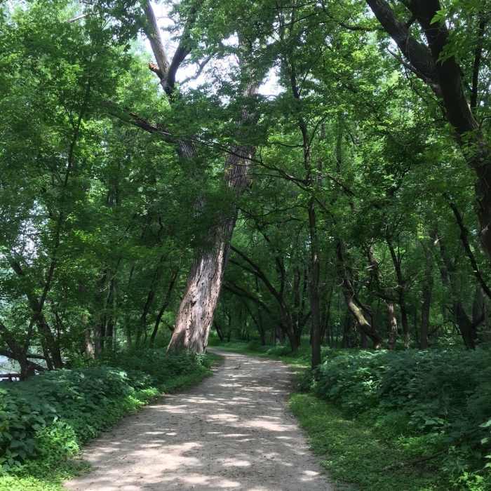 Near Pike Island Main Loop