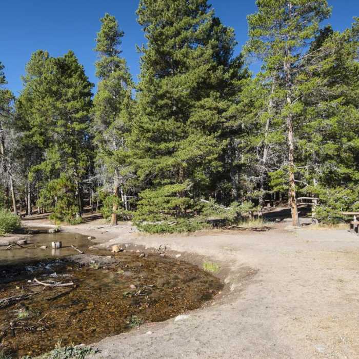 Near Sprague Lake Loop Hike