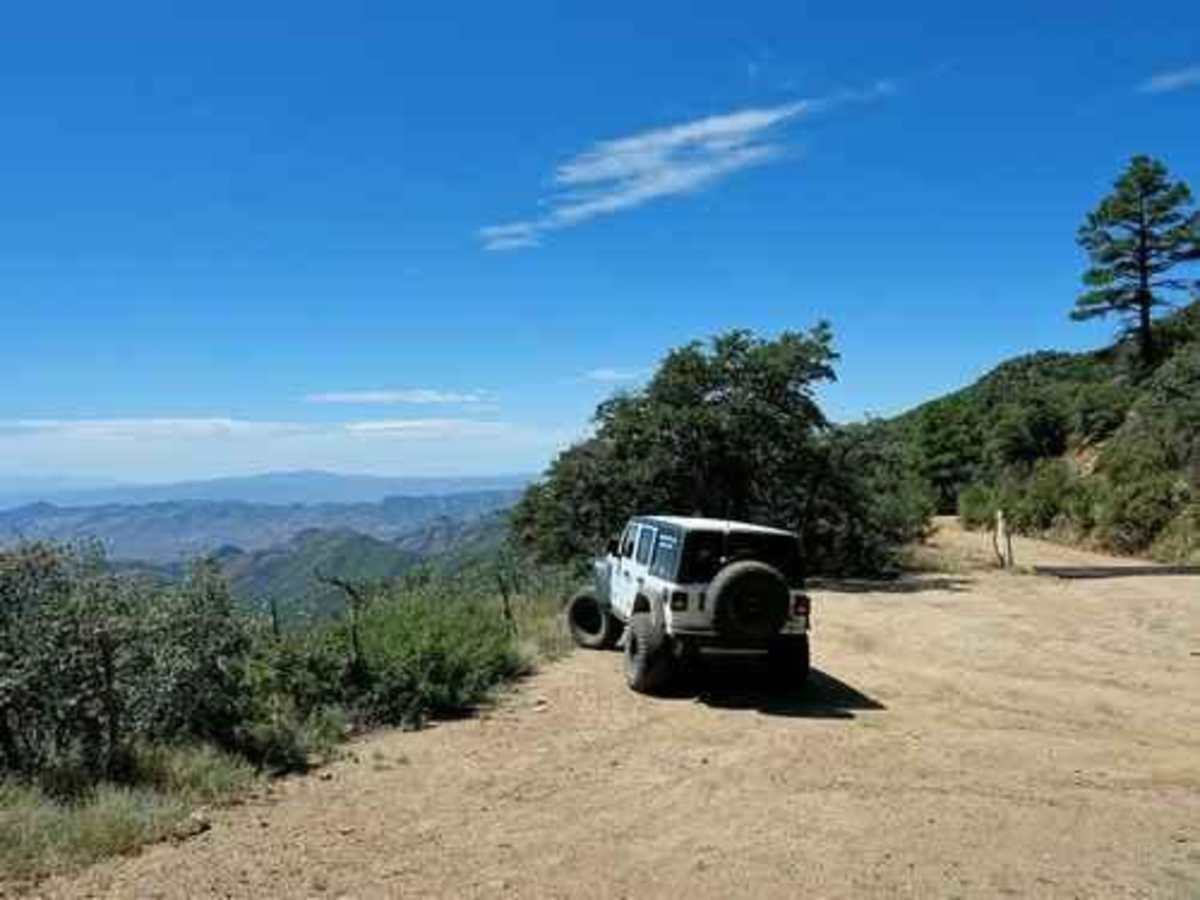 Pioneer Pass trail photo