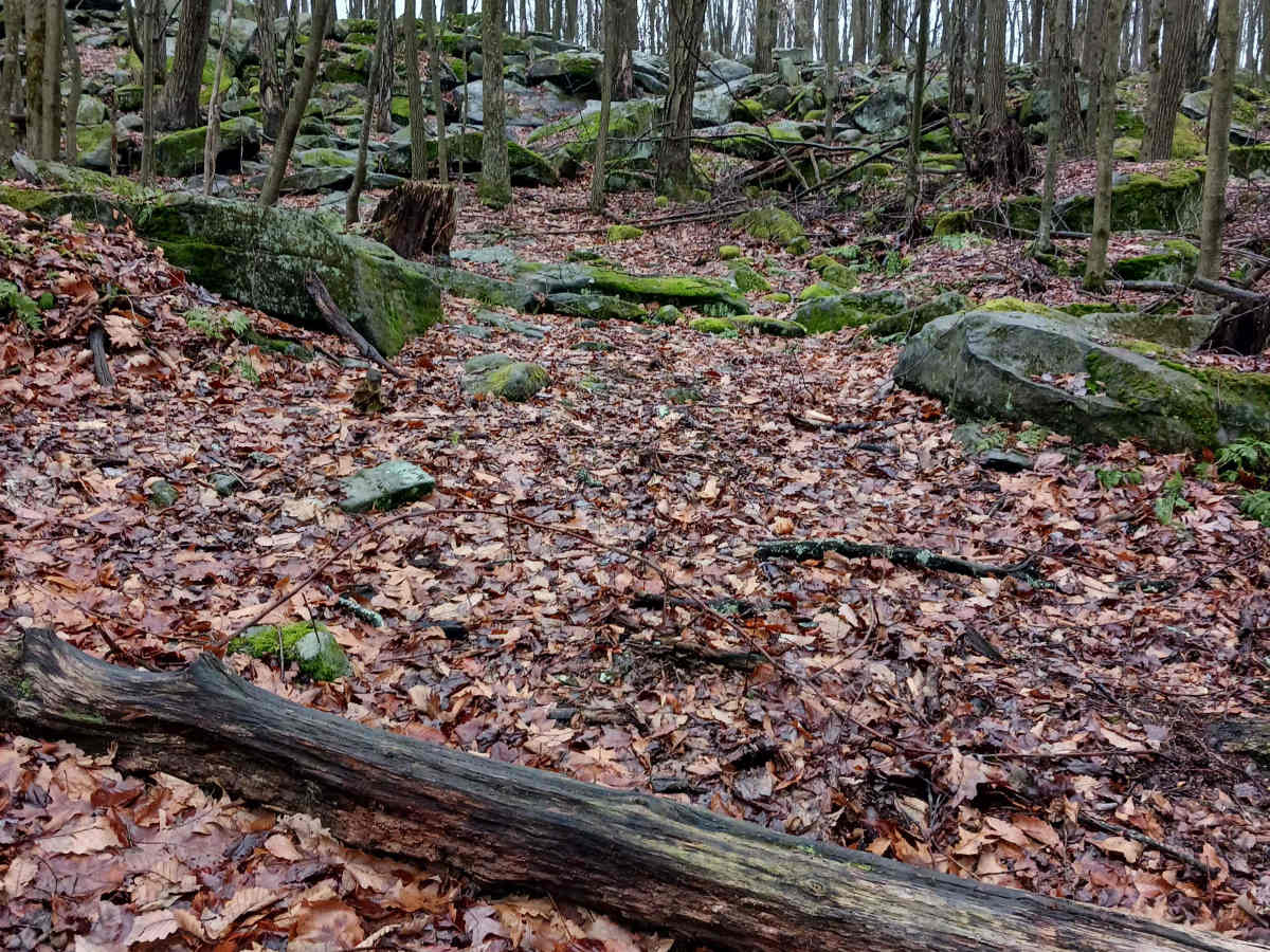 OHV 42 - Rock Run Recreation Area trail photo