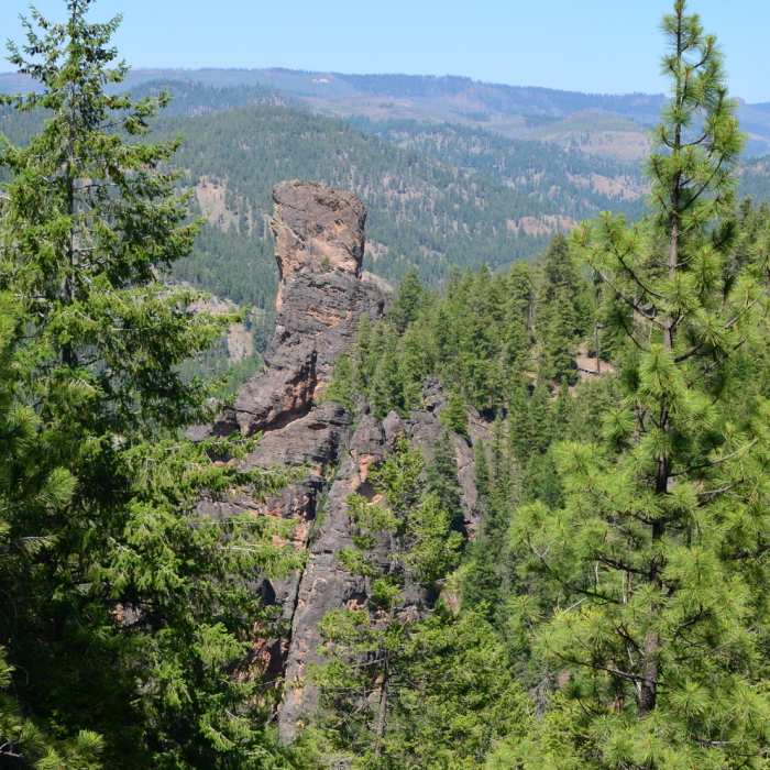 Near Steins Pillar Trail