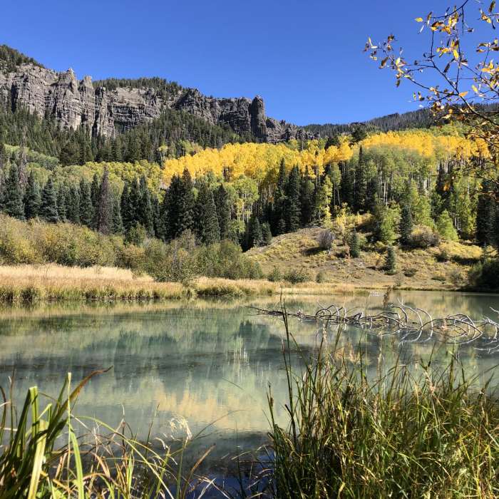 Near Opal Lake Trail
