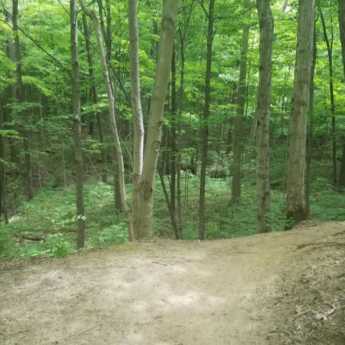 Near Schoen Creek Trail