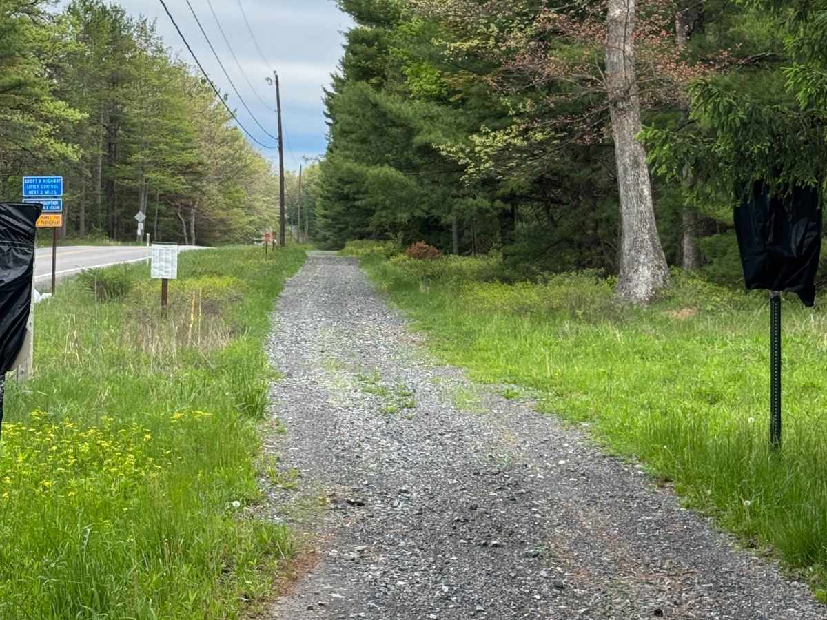 Coudy Pike Trail photo 3