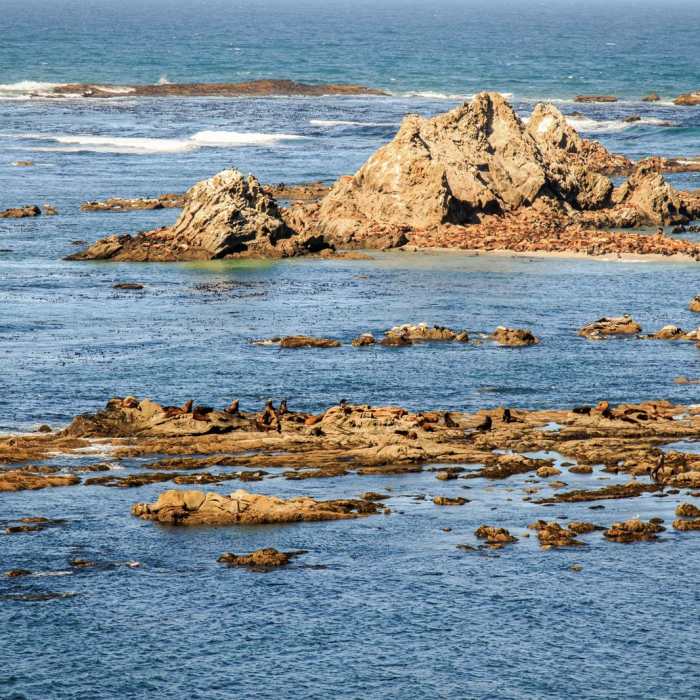 Near Oregon Coast Trail Section 7