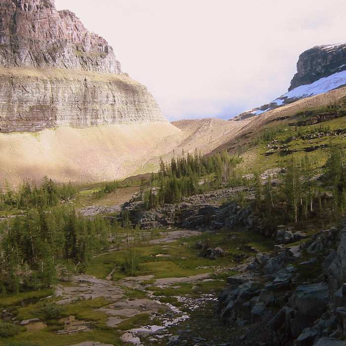 Near Boulder Pass Loop