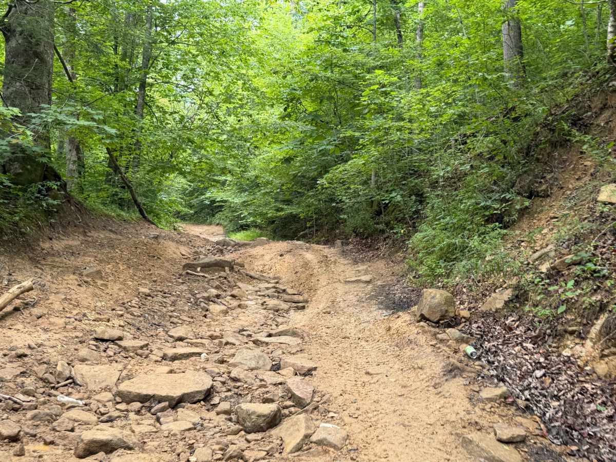 Little Buckhorn Creek Trail North photo 6