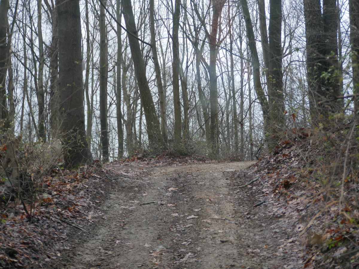 Trail 44 photo 6