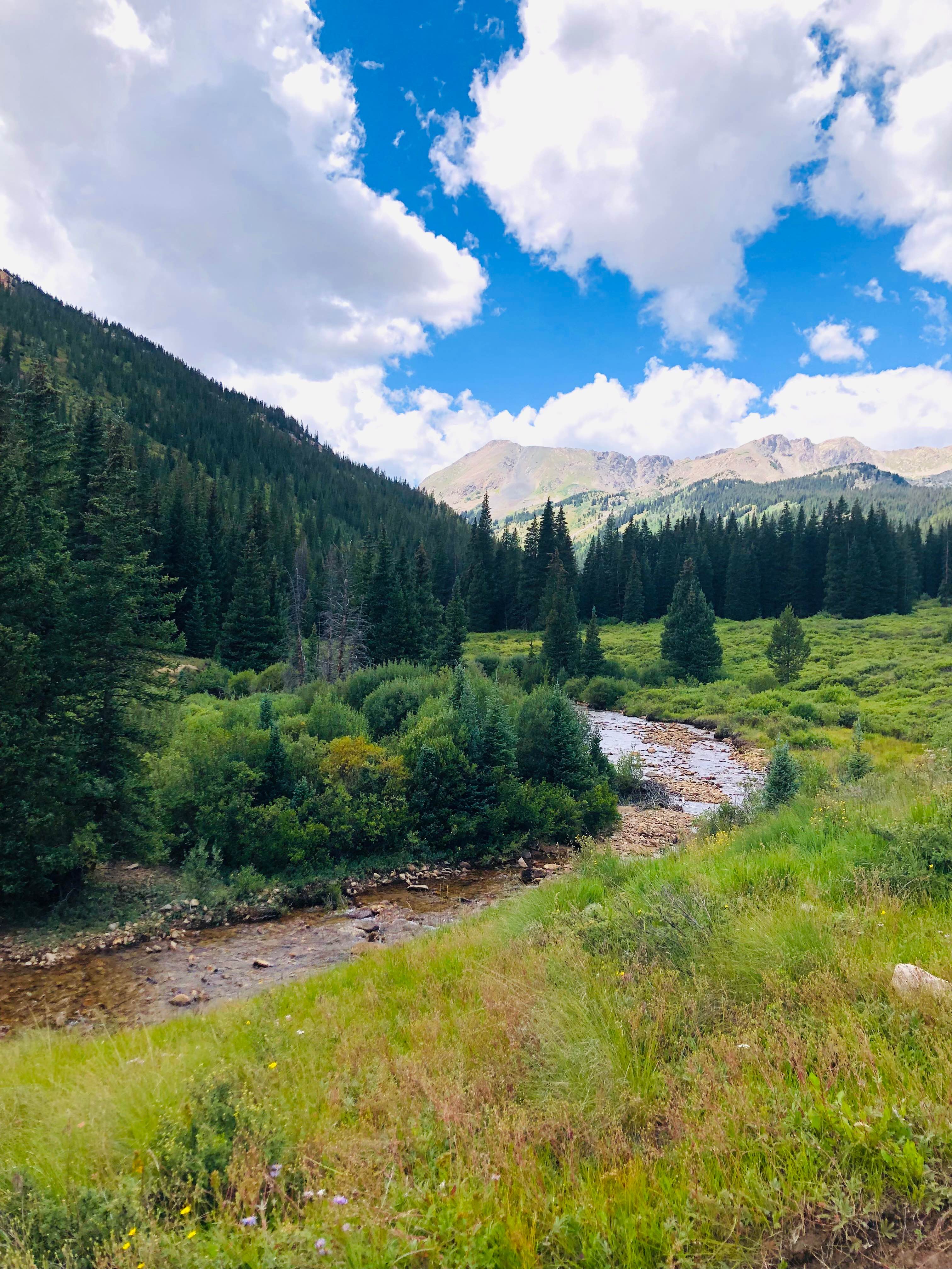 North Fork Clear Creek
