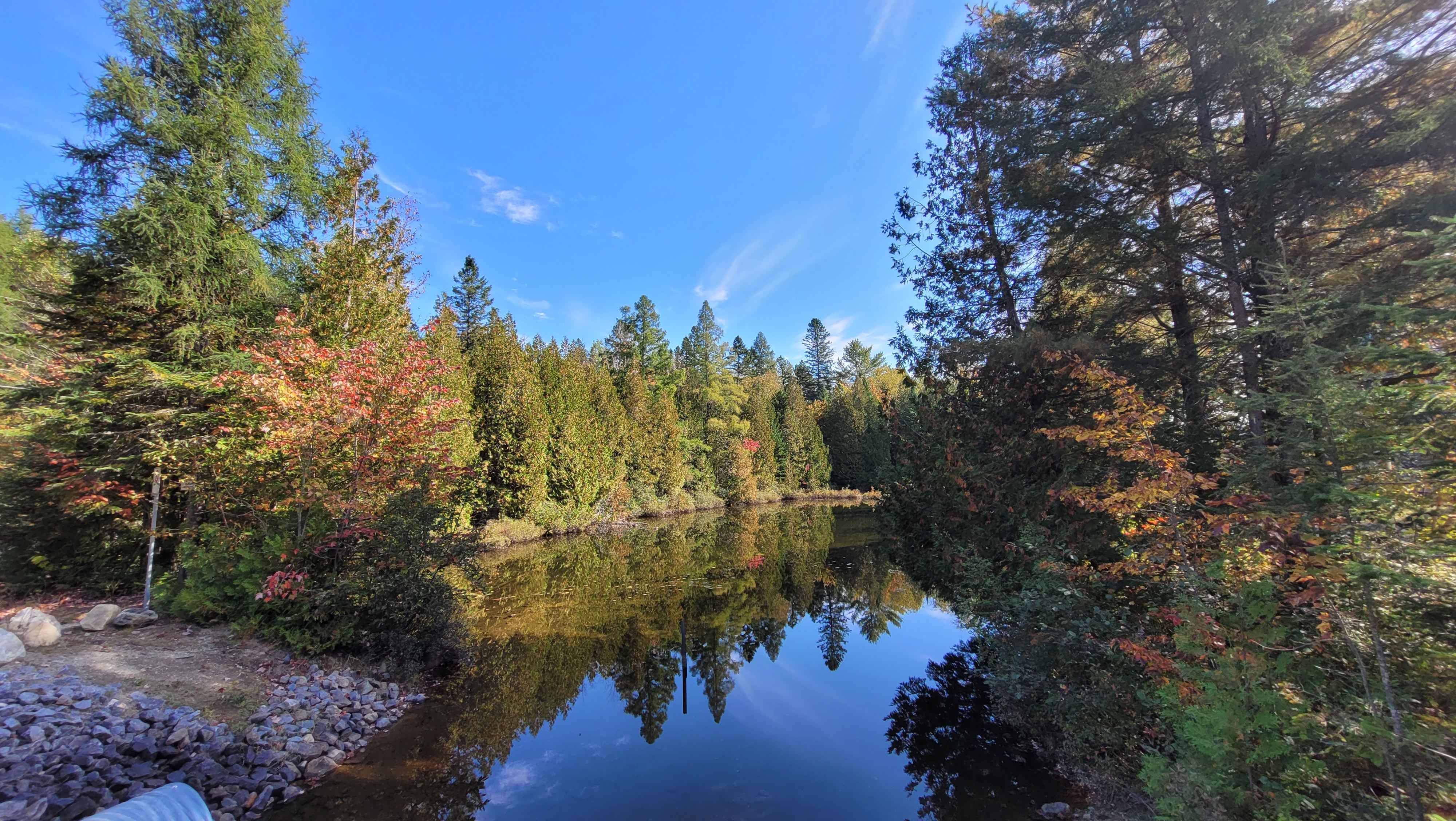 Petit Chertsey - 01F