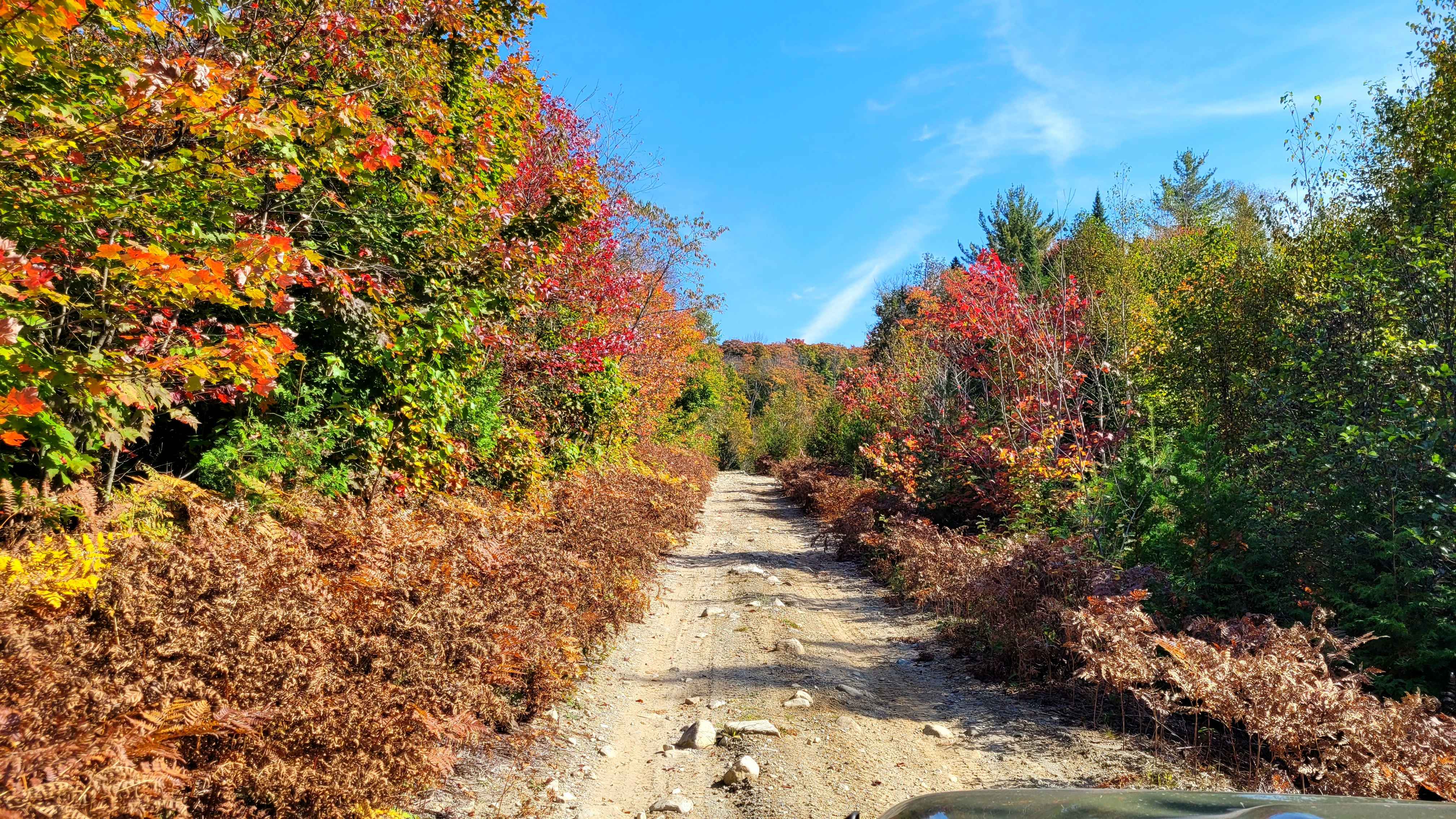 Petit Chertsey - 01F