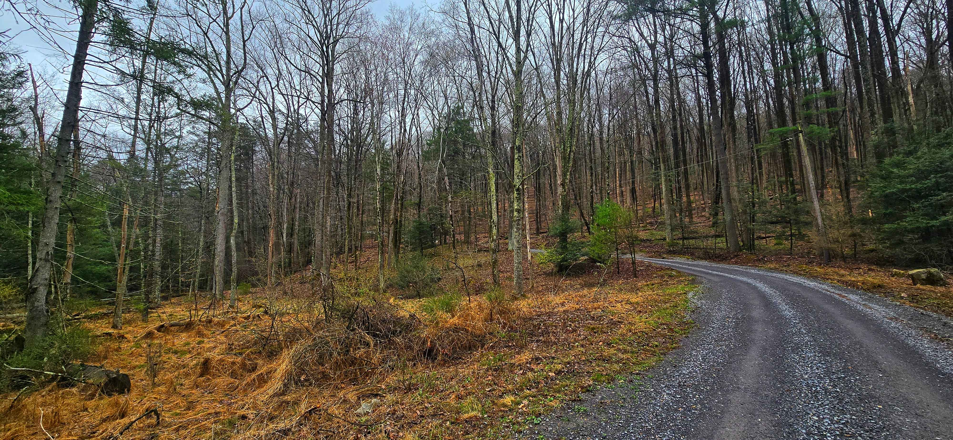 Meadows Road