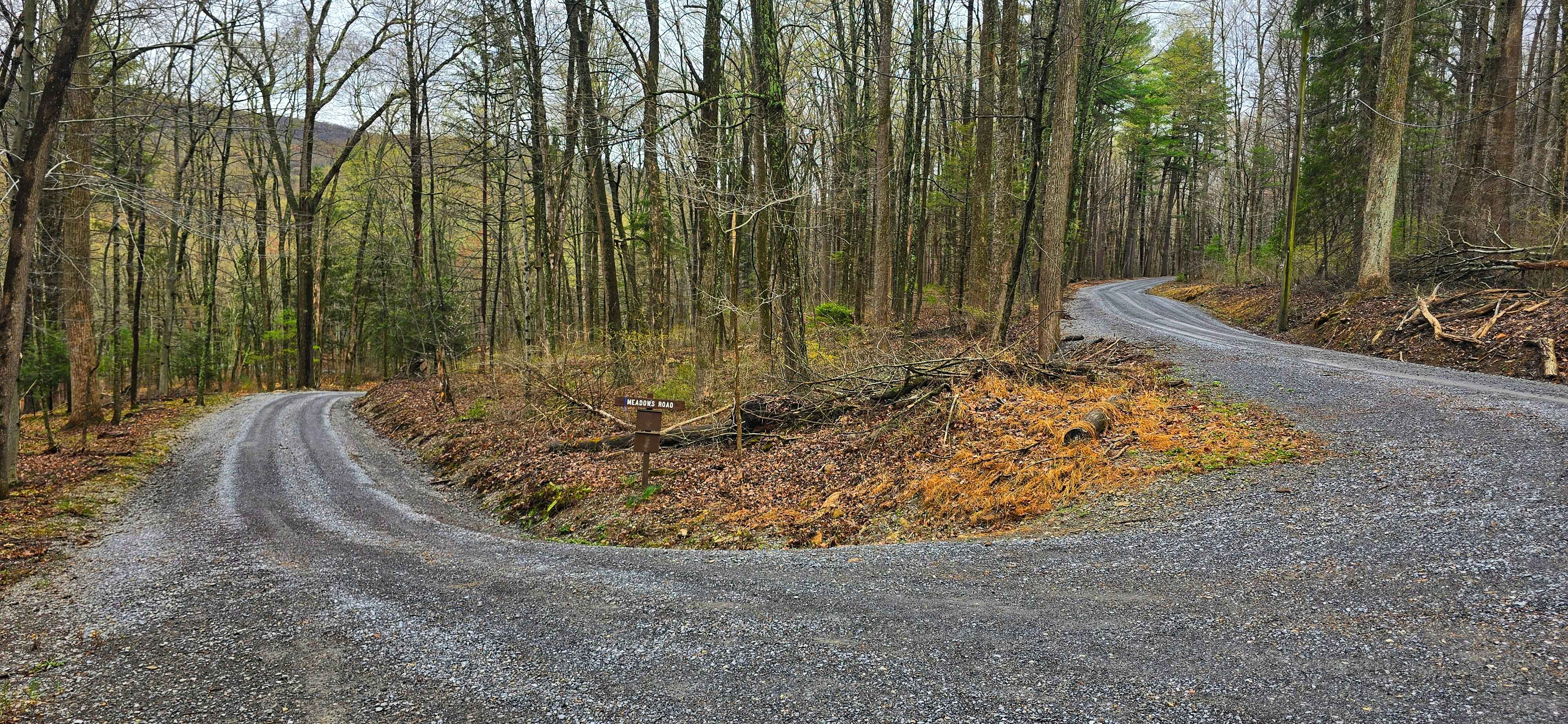 Meadows Road