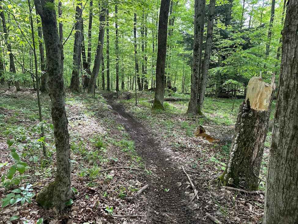 Orange Single Track A- B4