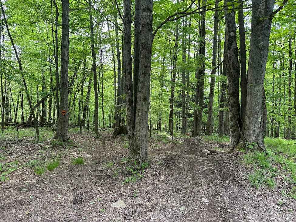 Orange Single Track A- B4