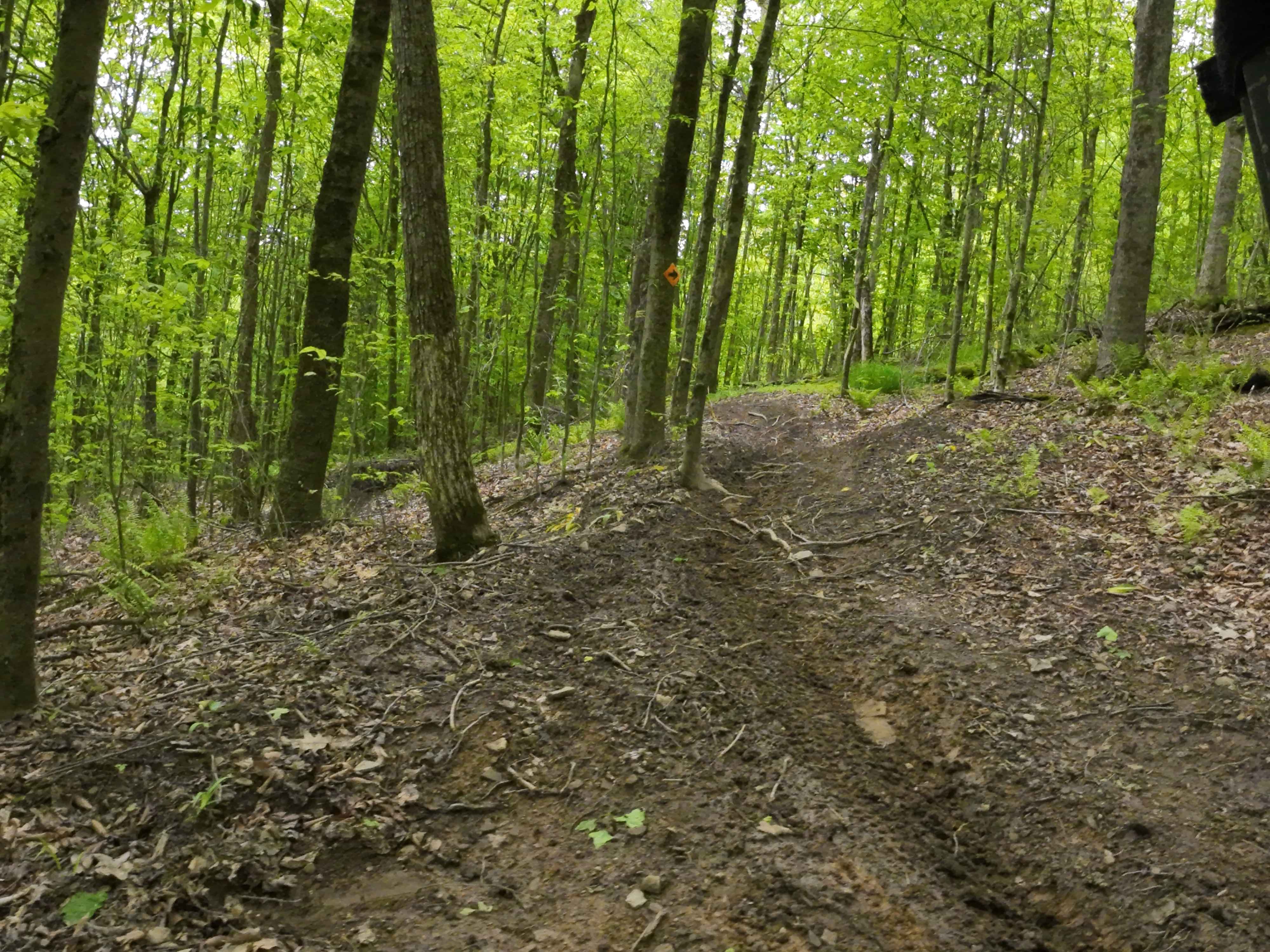 Orange Single Track B4 B5 G9