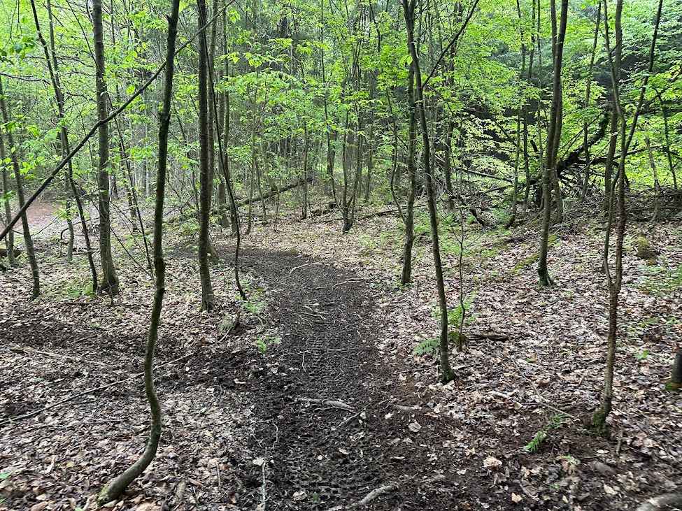 Orange Single Track Campground - B10