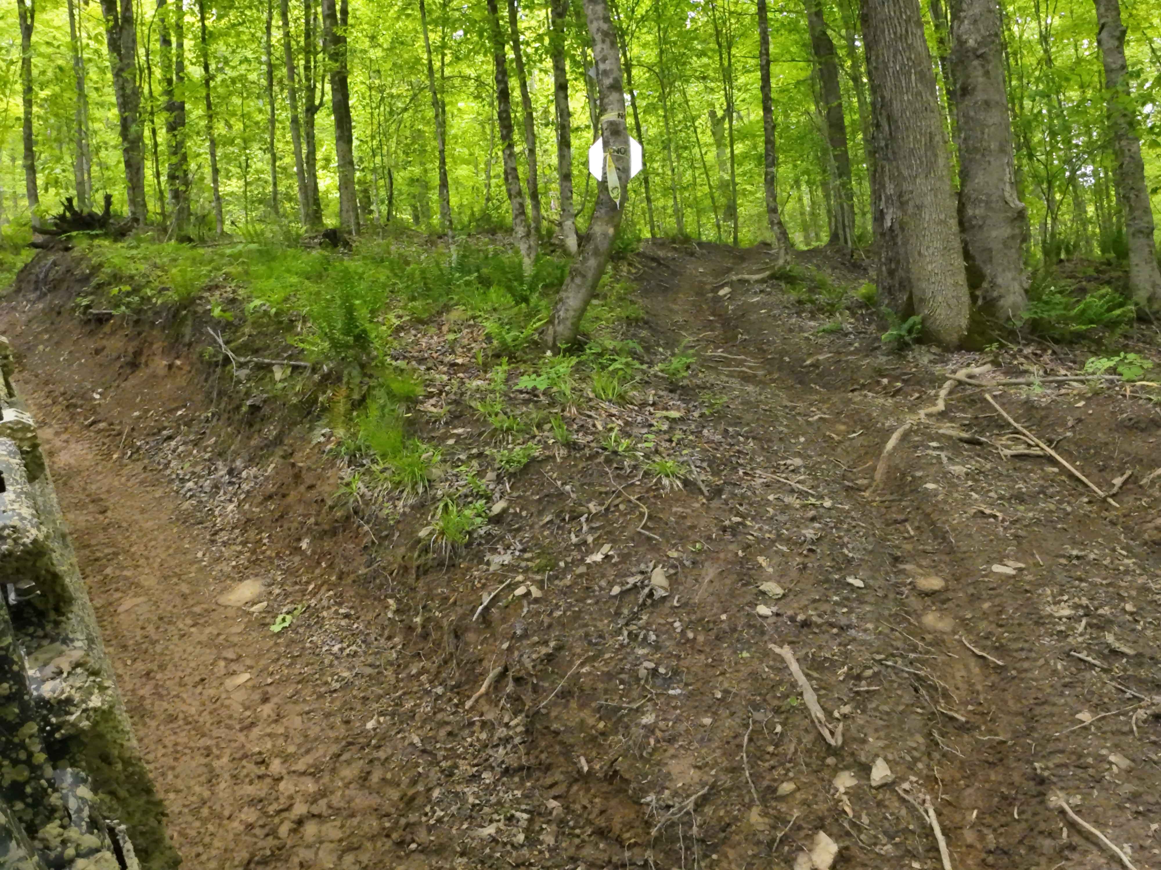 H Orange Single Track