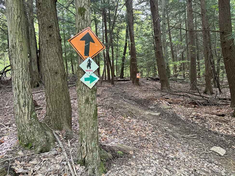 Orange Single Track G9 - A