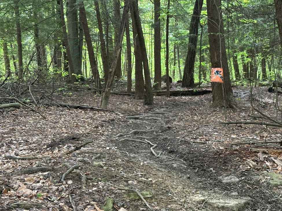 Orange Single Track G9 - A