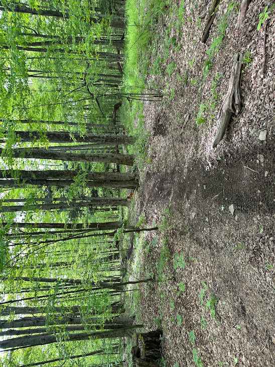 Orange Single Track G9