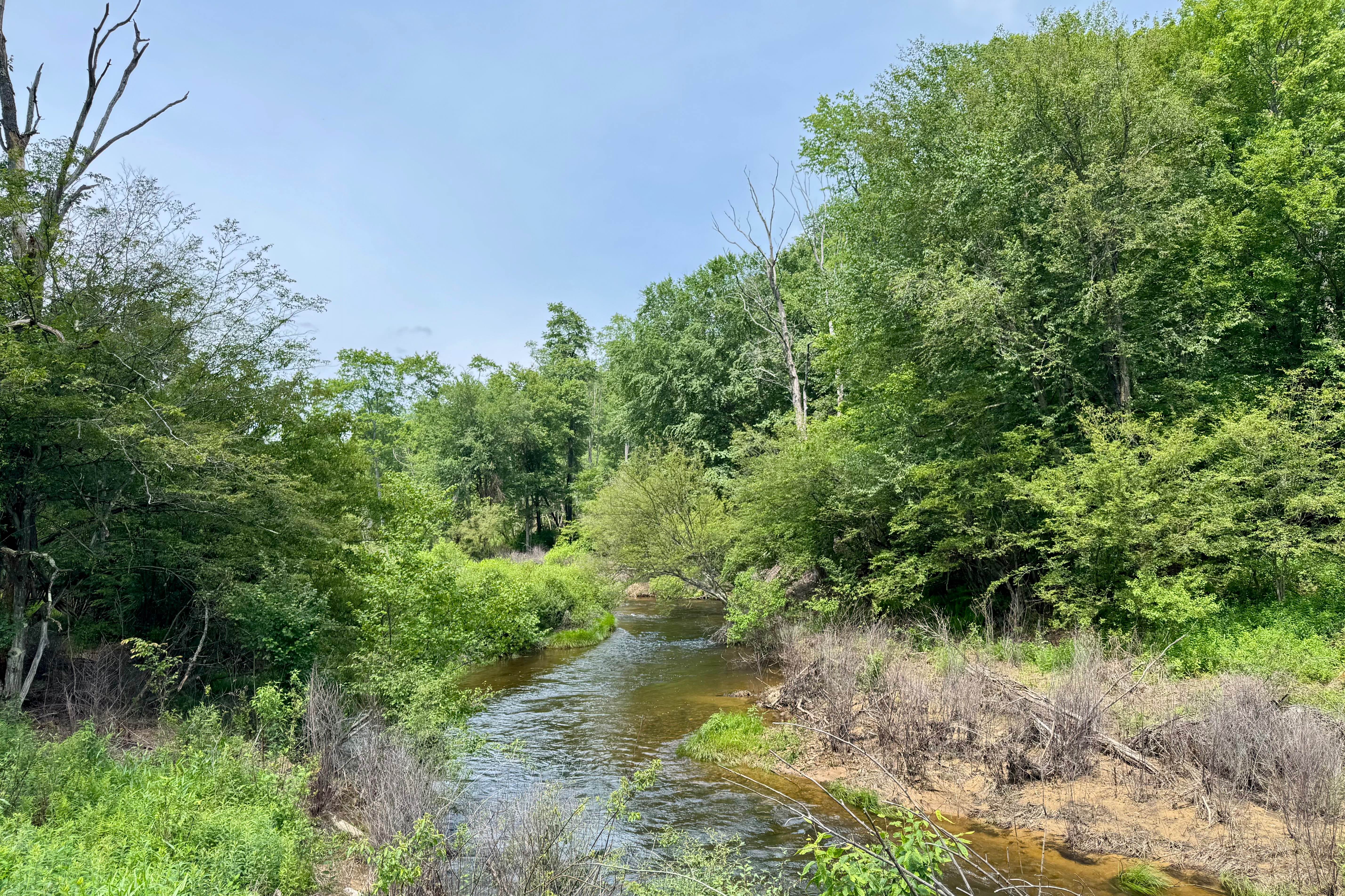 Bingham Road - FS 135