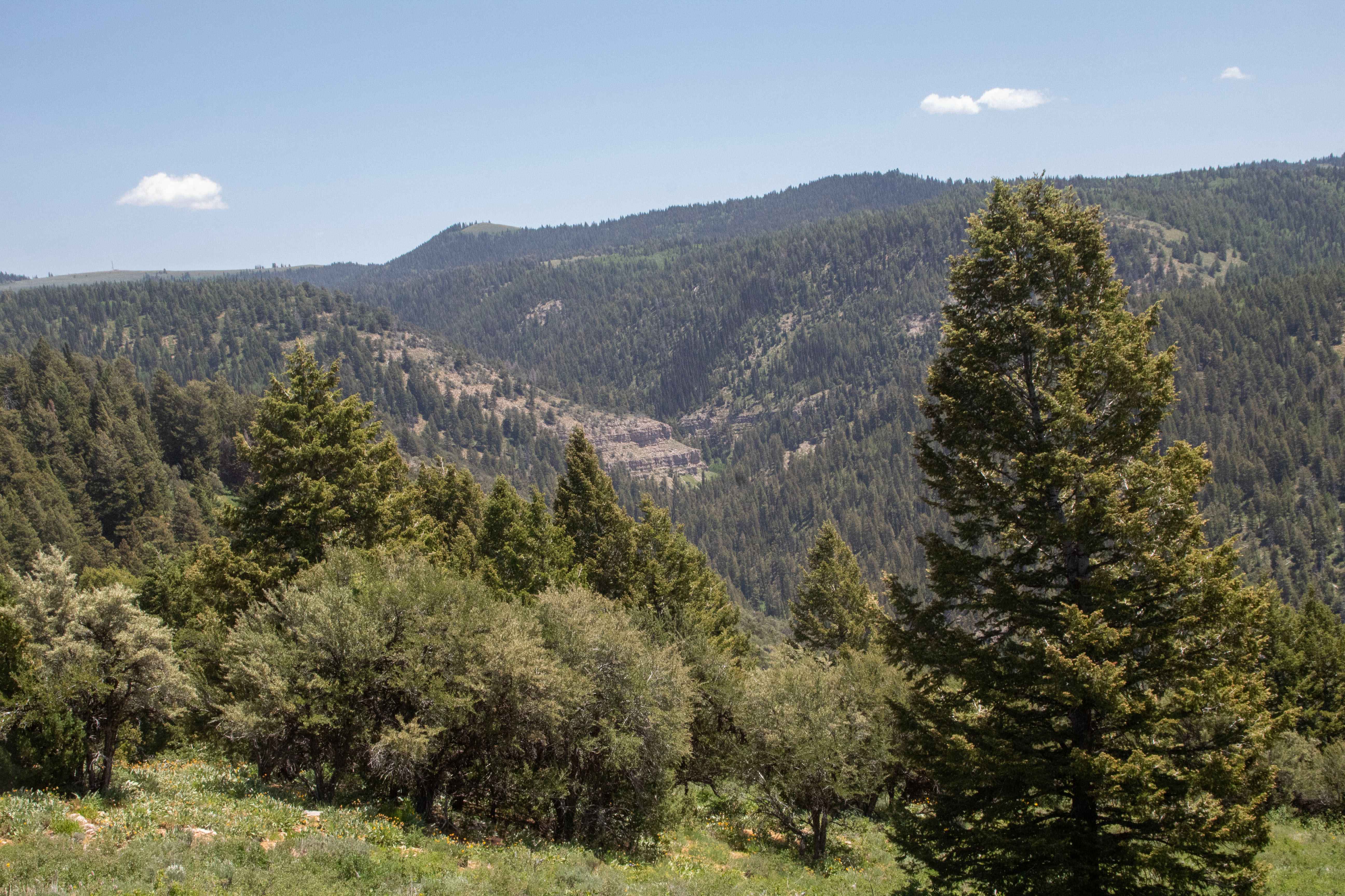 Baxter Ridge Road