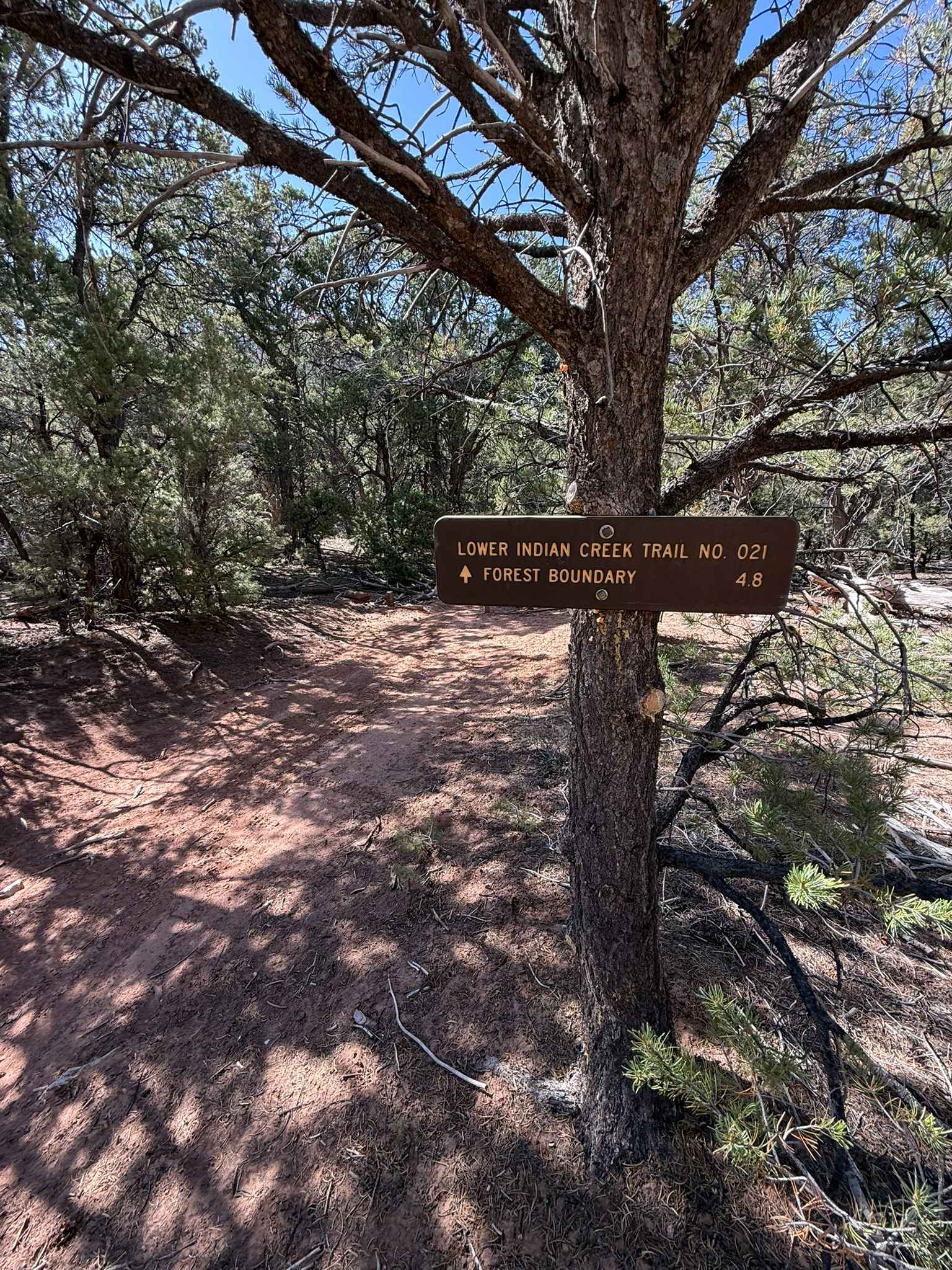 Lower Indian Creek Trail No. 021