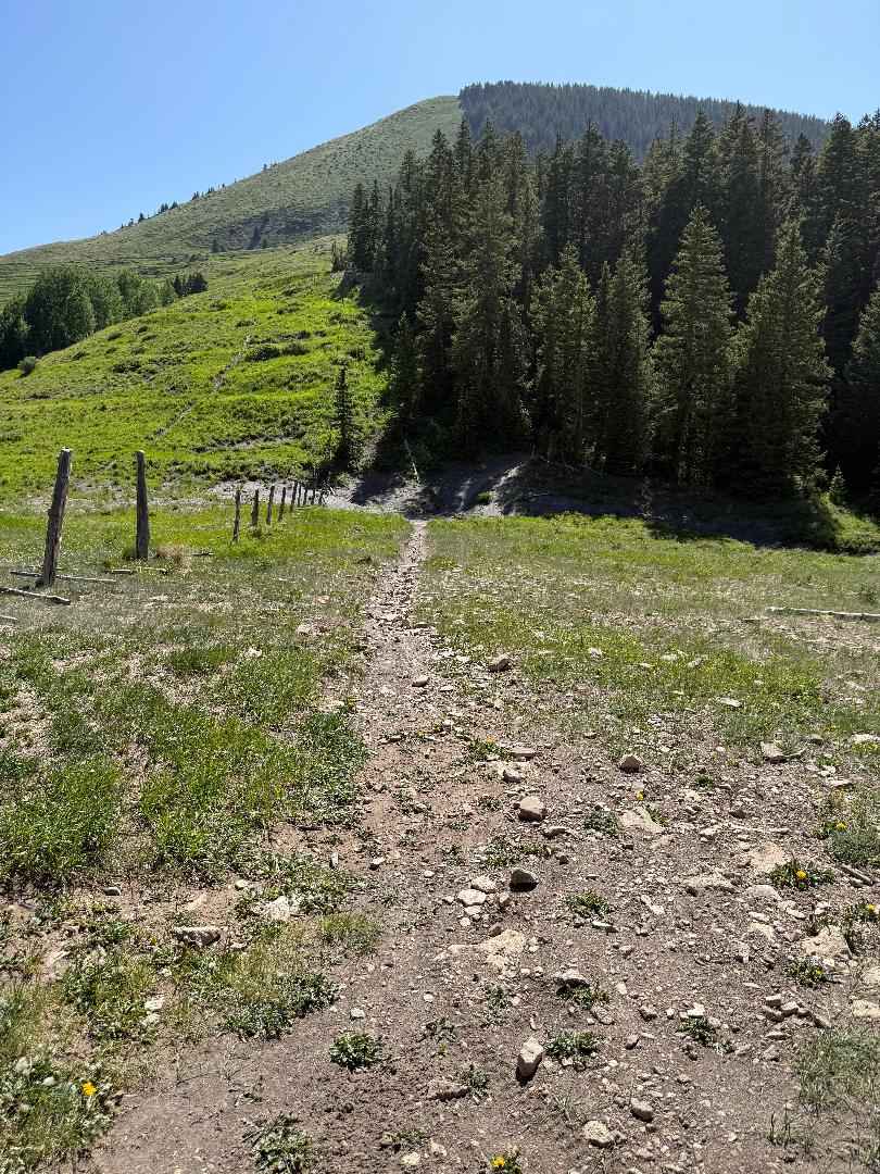 Robertson Pasture Trail No. 020