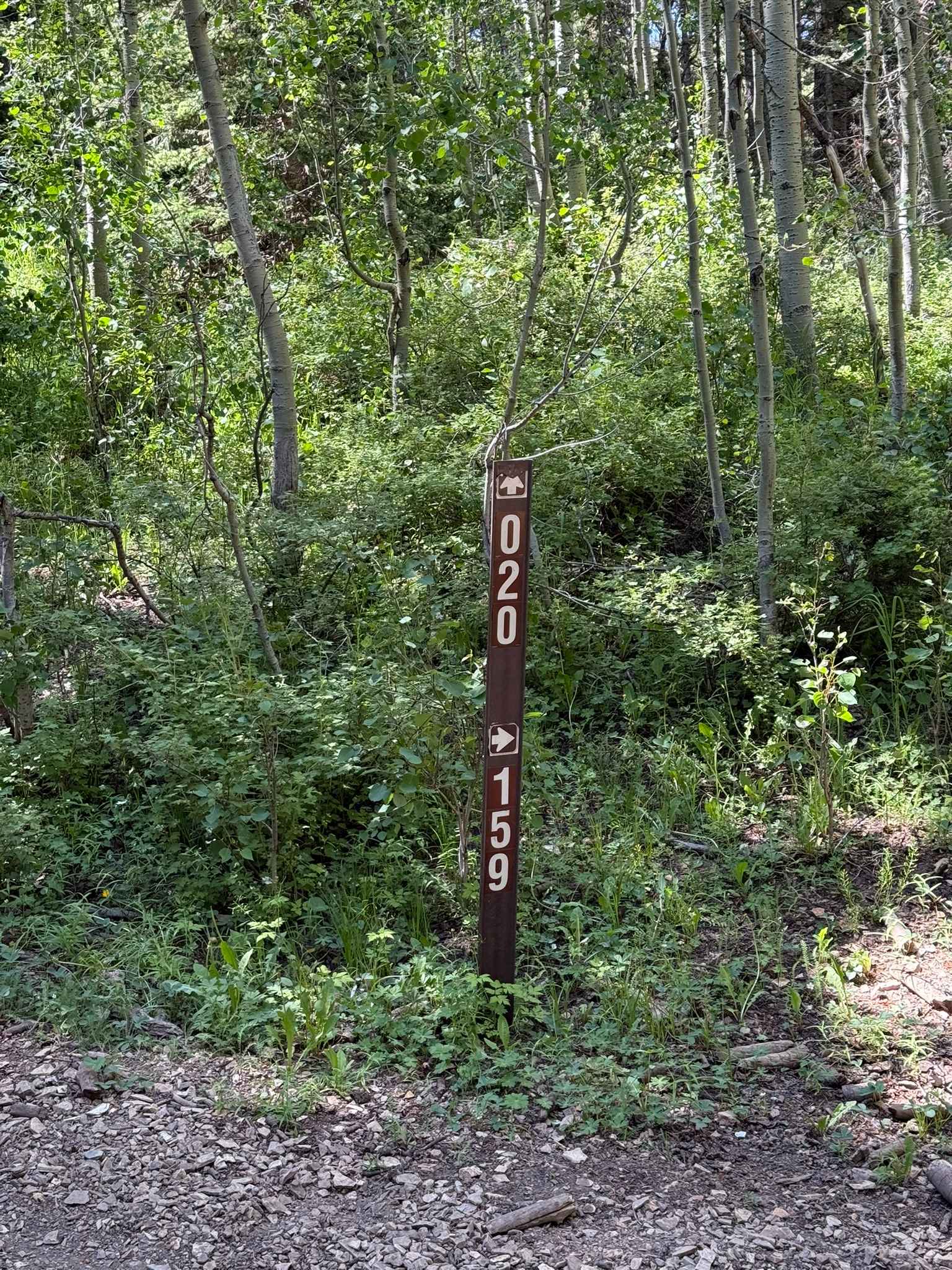 Spring Creek Trail No. 159