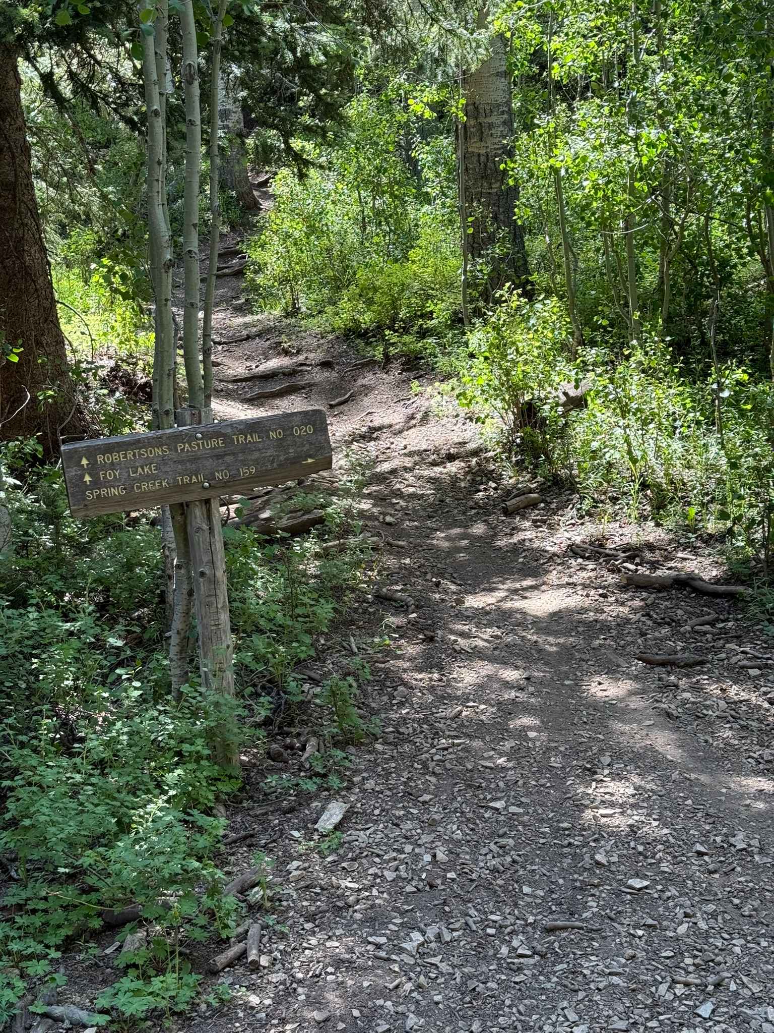 Spring Creek Trail No. 159