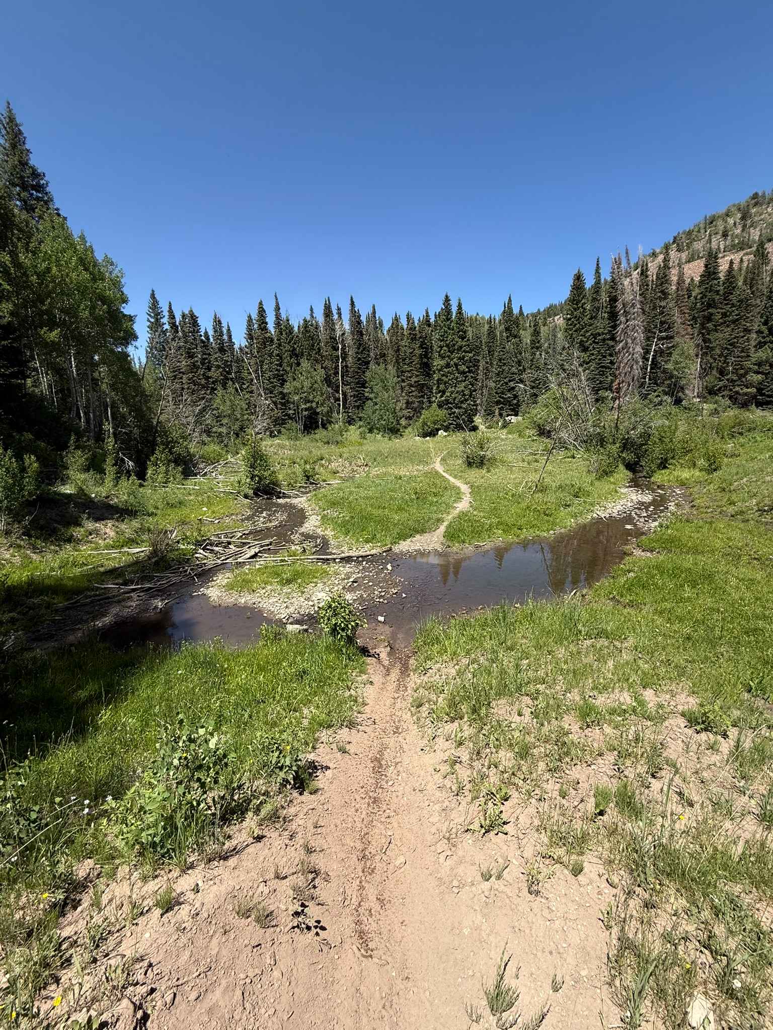 Red Ledges Trail No. 019