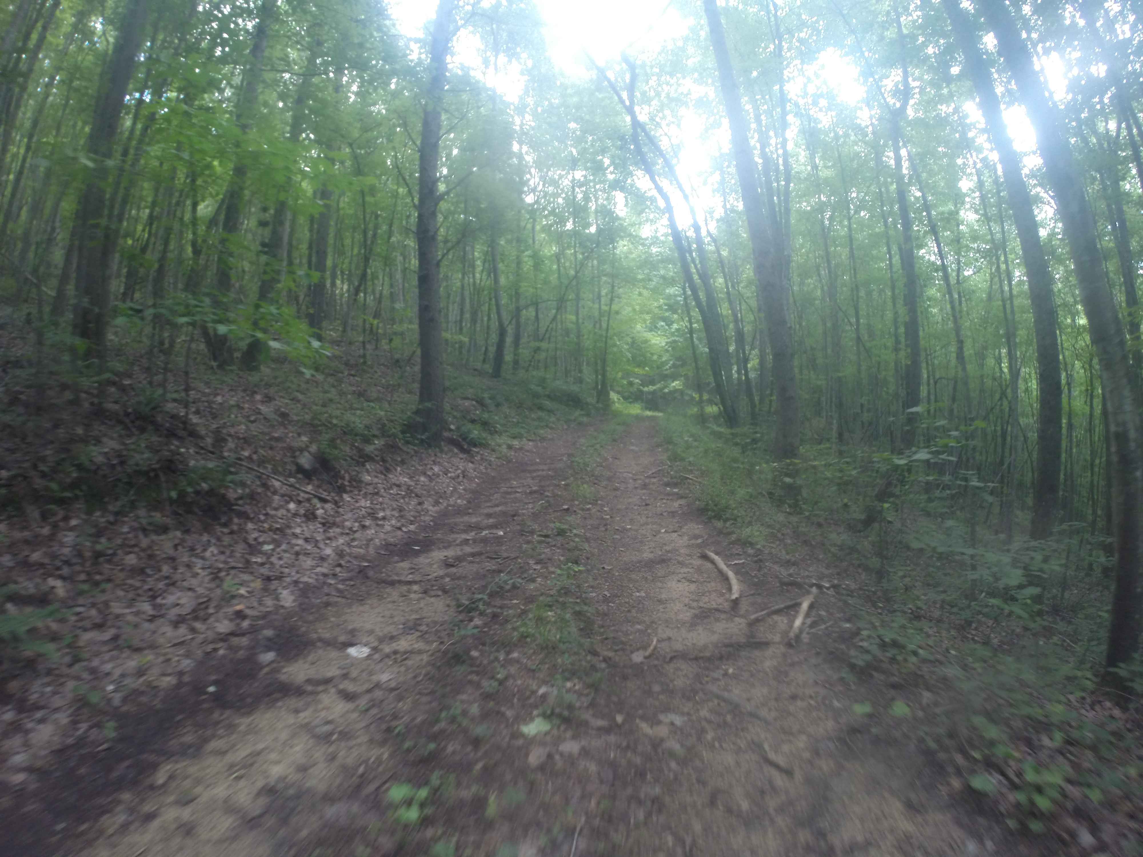 Chestnut Mountain Spur - FS 212C