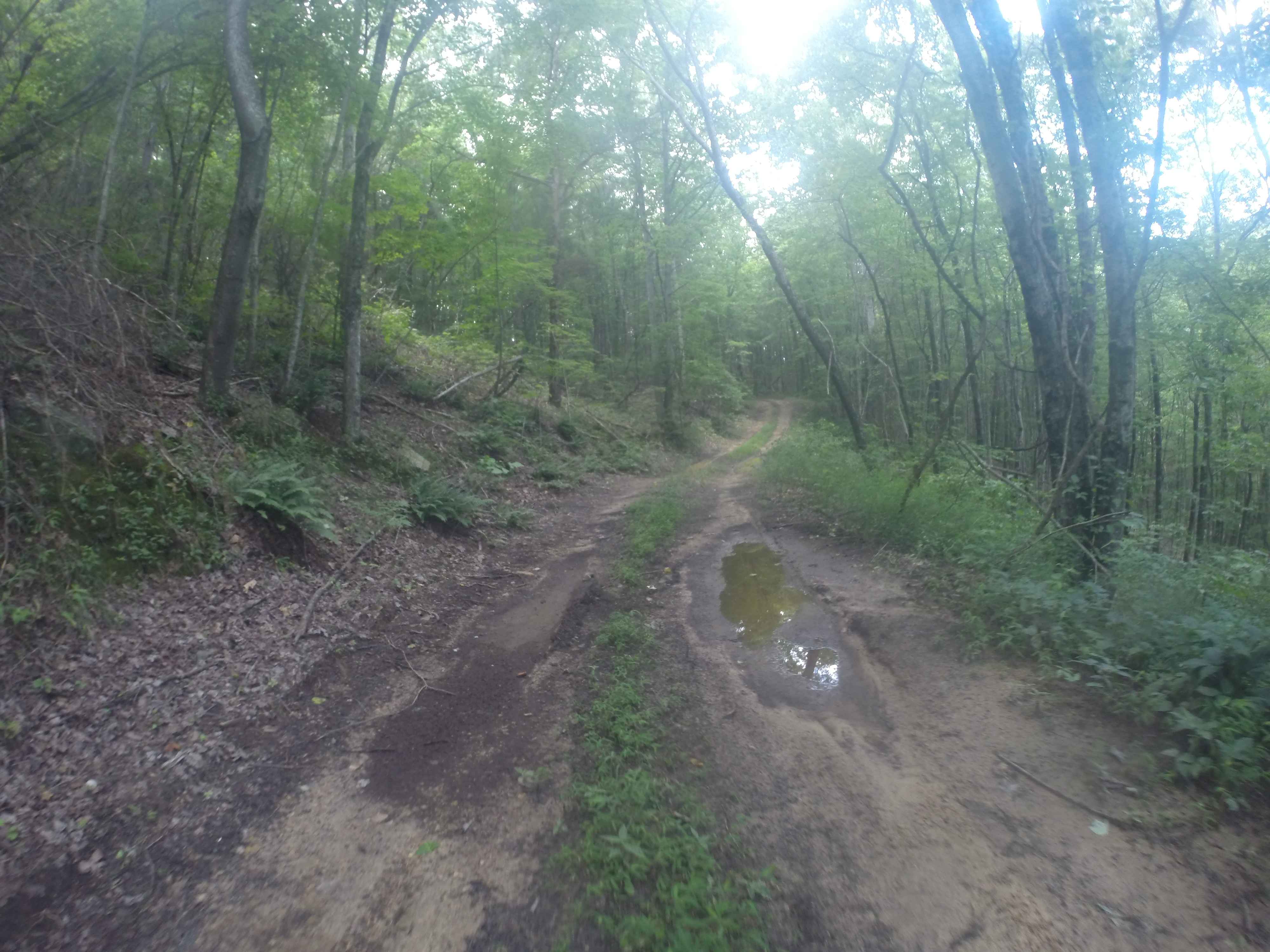 Chestnut Mountain Spur - FS 212C