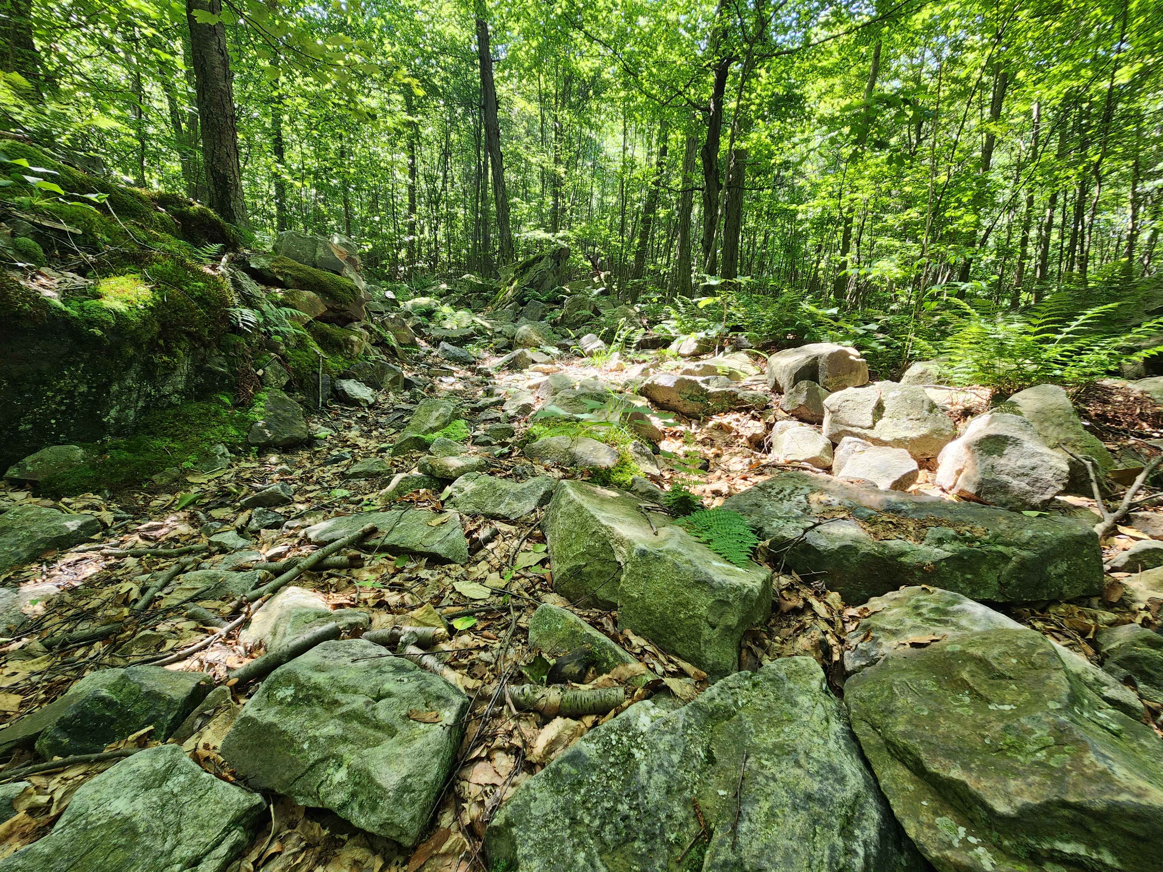 Trail 2B - Rock Run Recreation Area