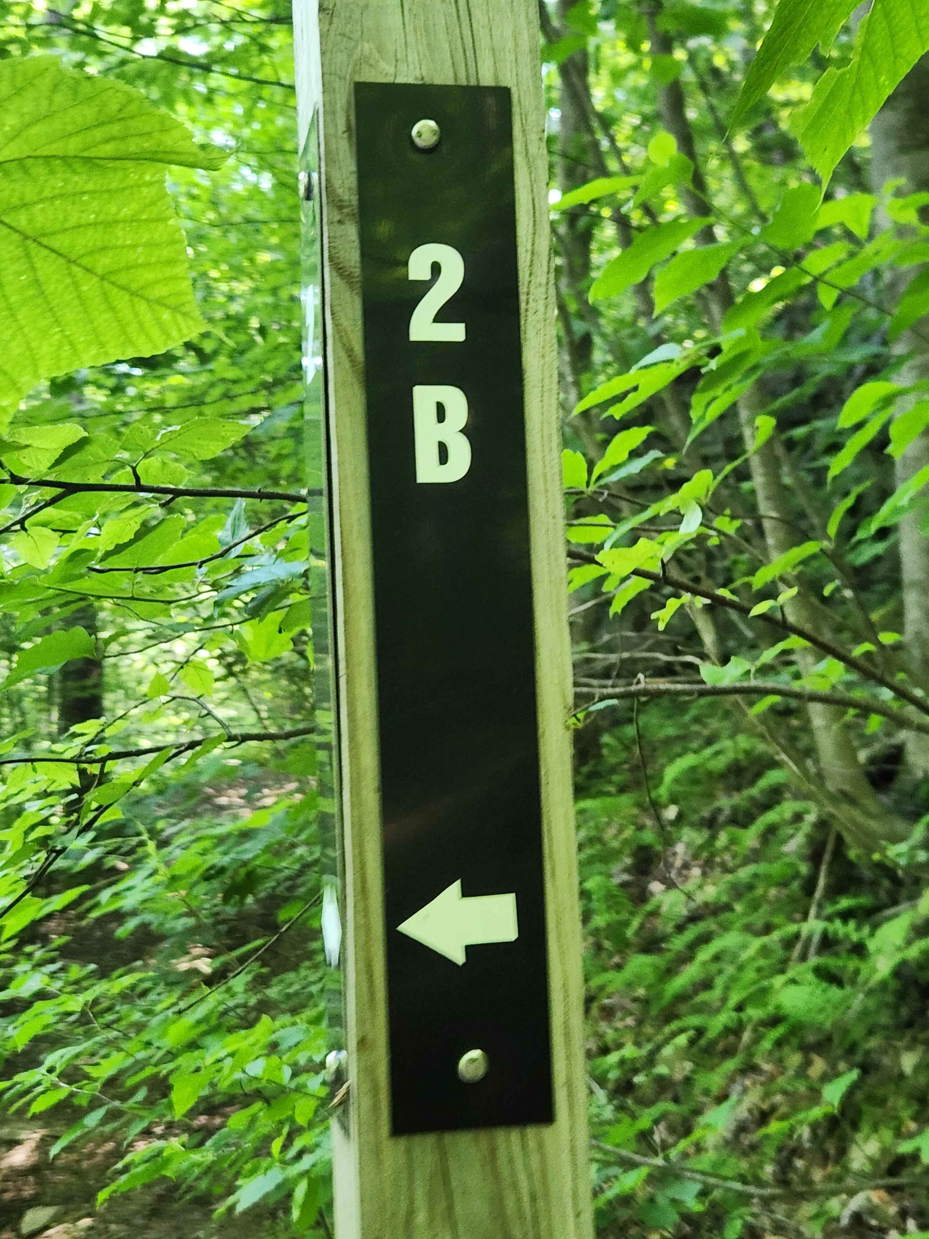 Trail 2B - Rock Run Recreation Area