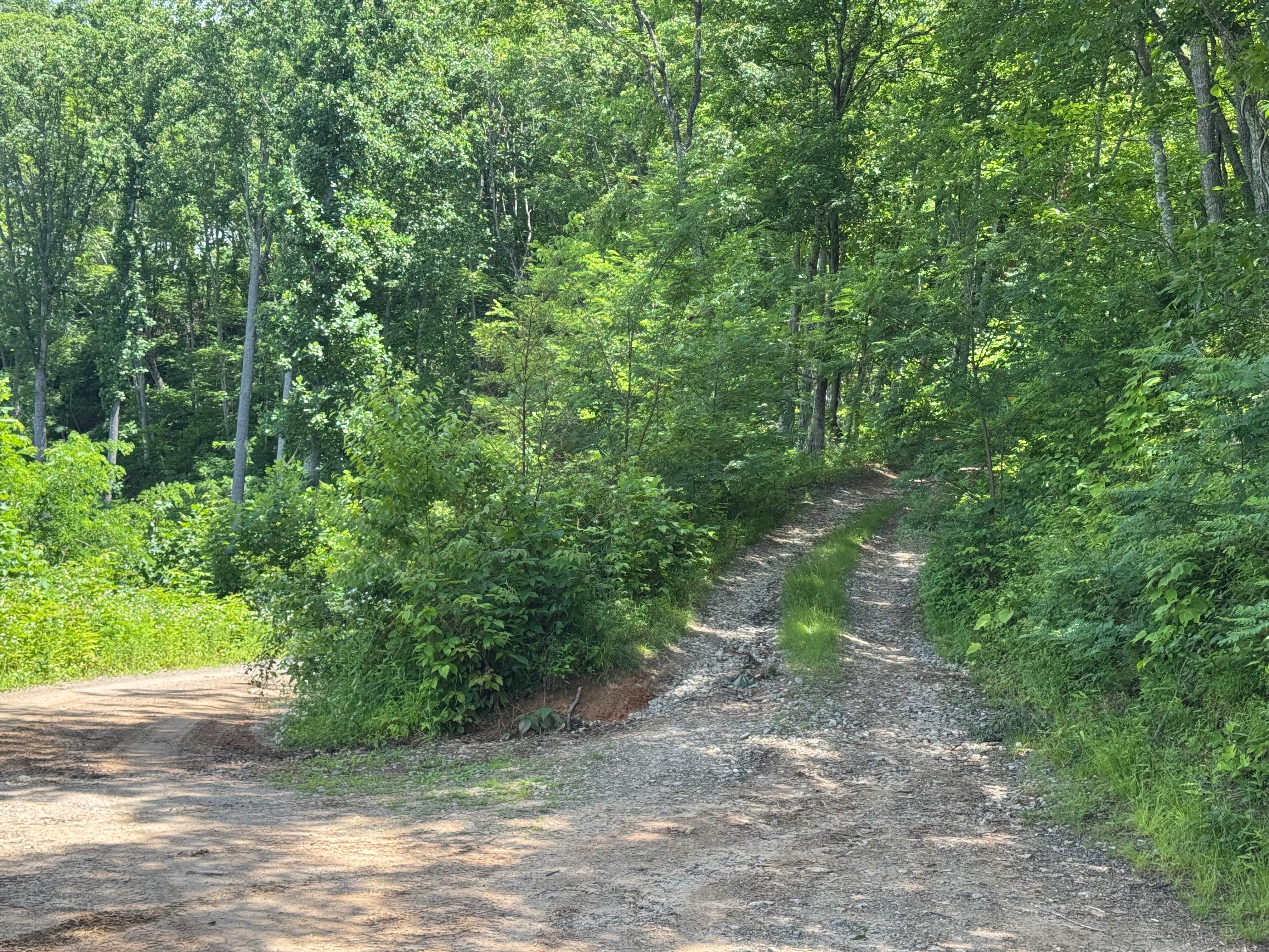 Old Bald Ridge - FS 4652