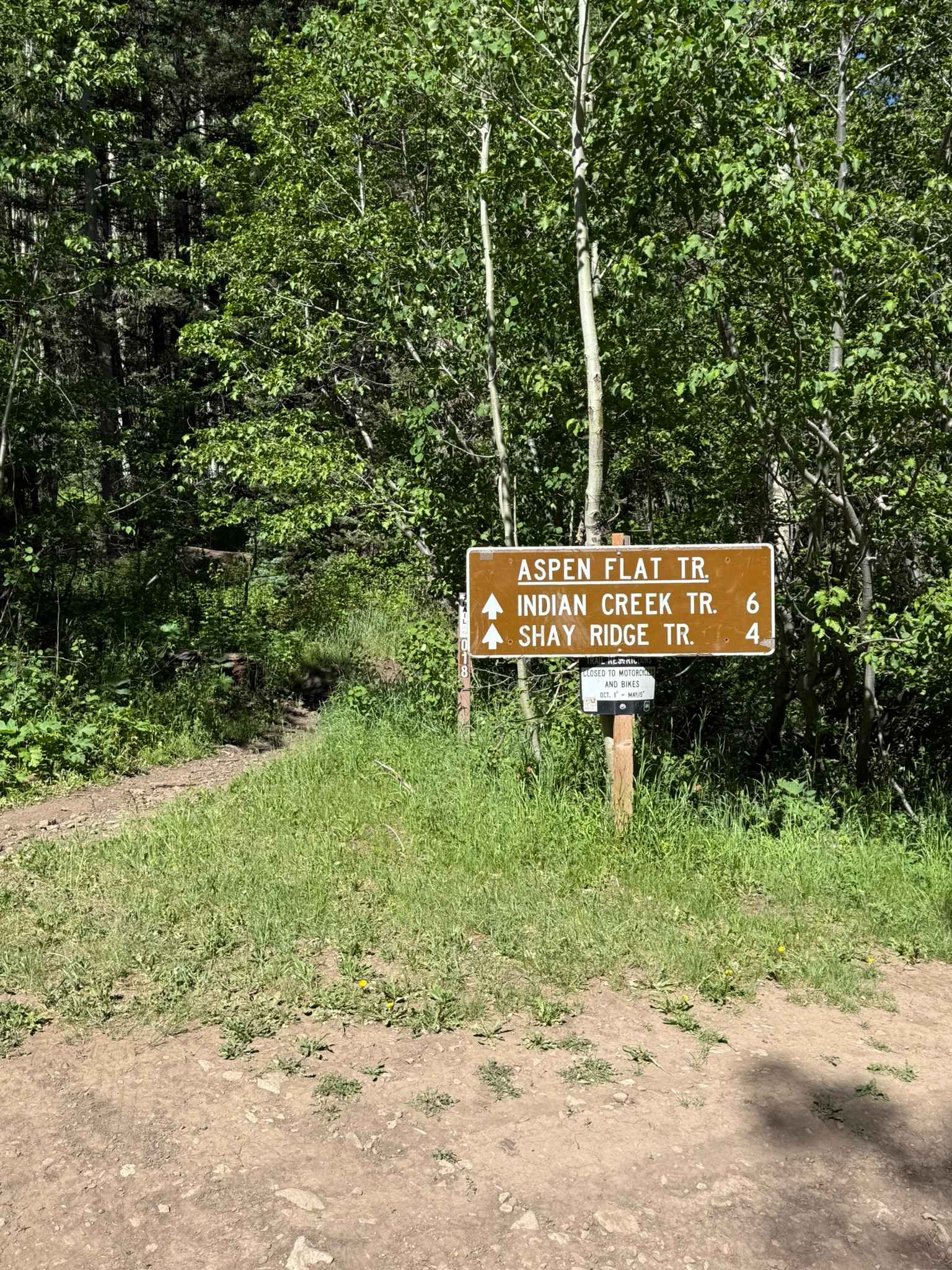 Aspen Flat Trail No. 018
