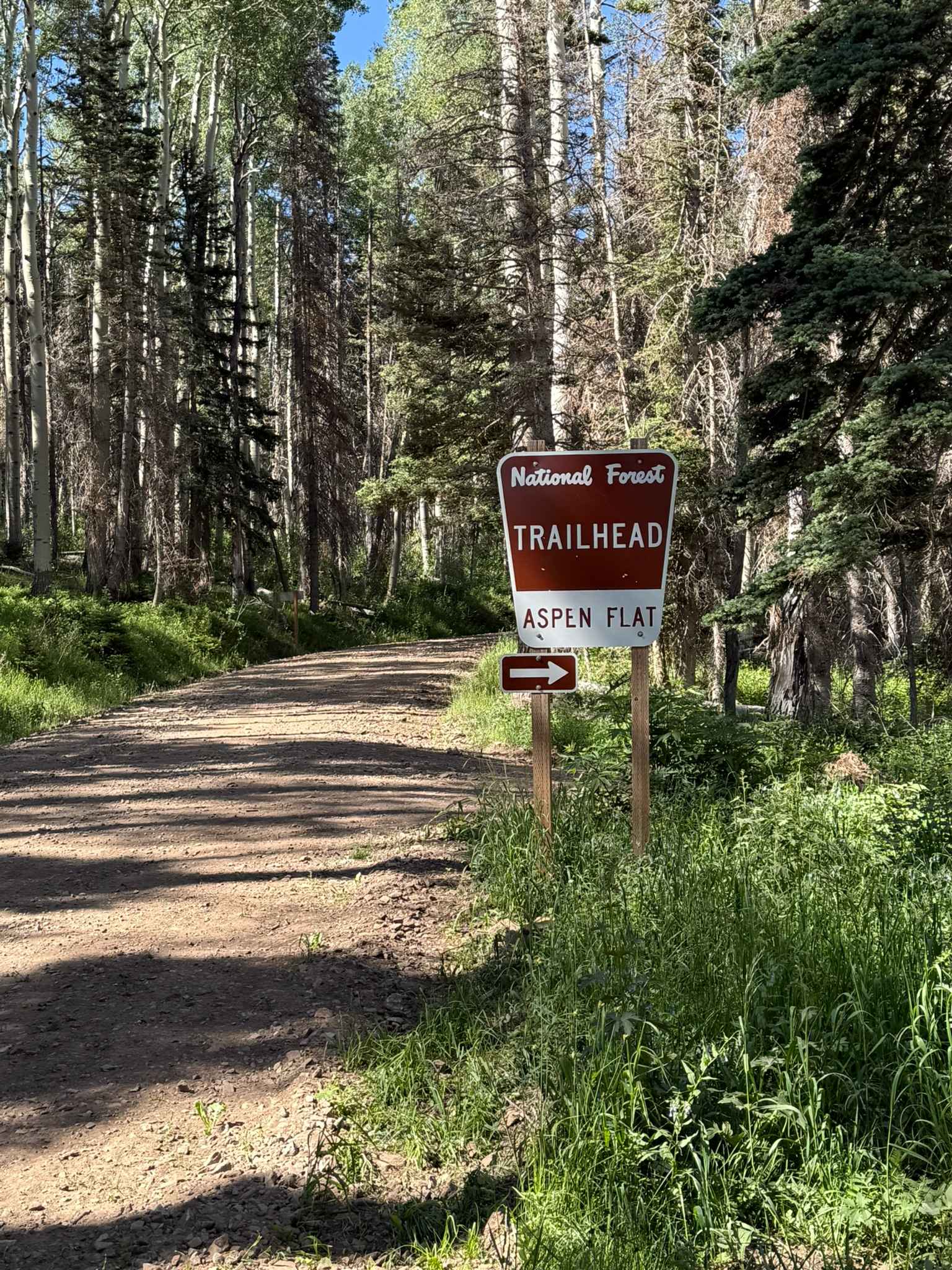 Aspen Flat Trail No. 018
