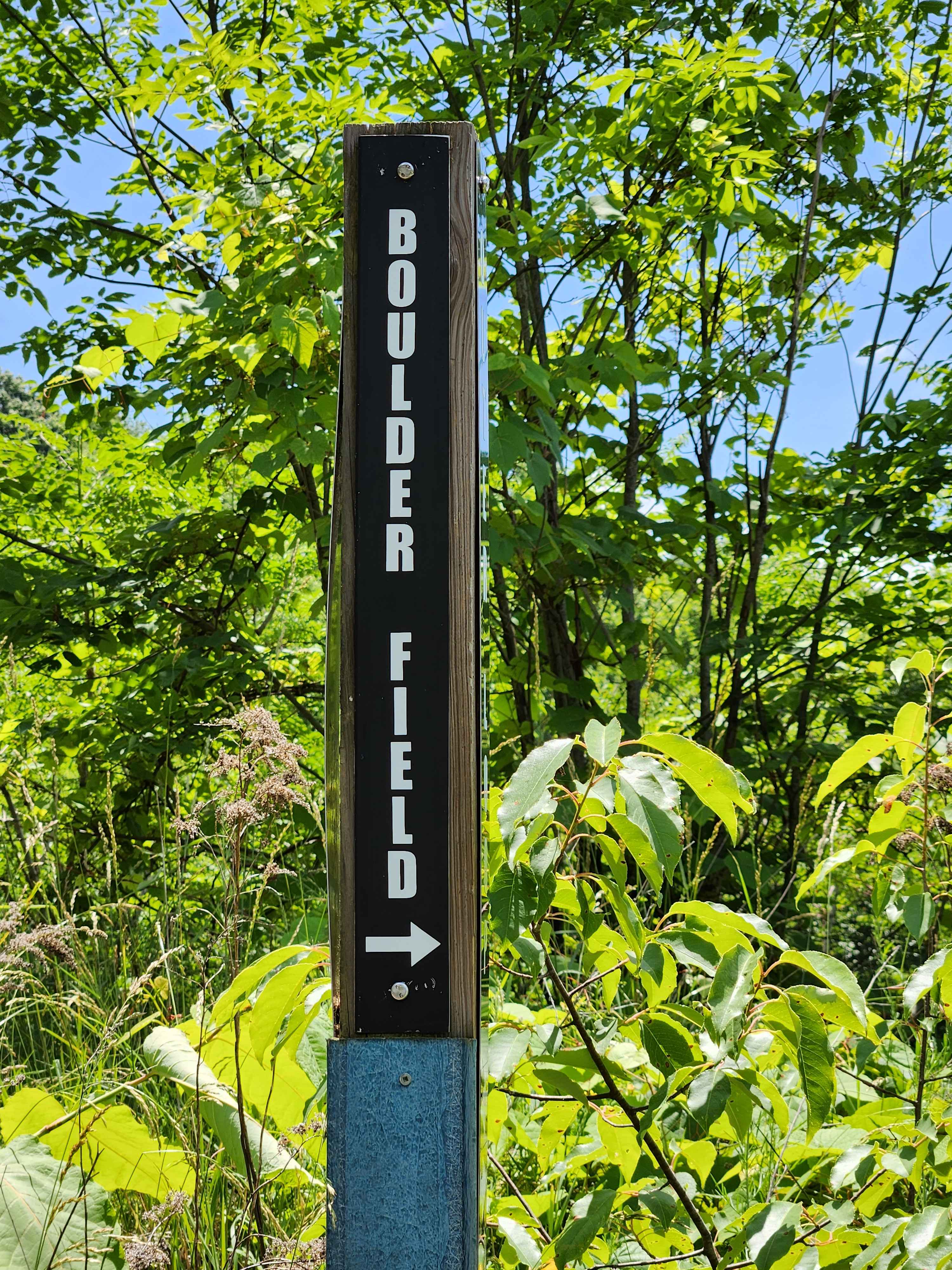 Boulder Field - Rock Run Recreation Area