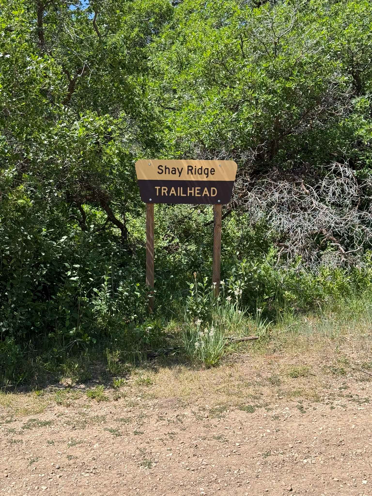 Shay Ridge OHV Trail N0. 162