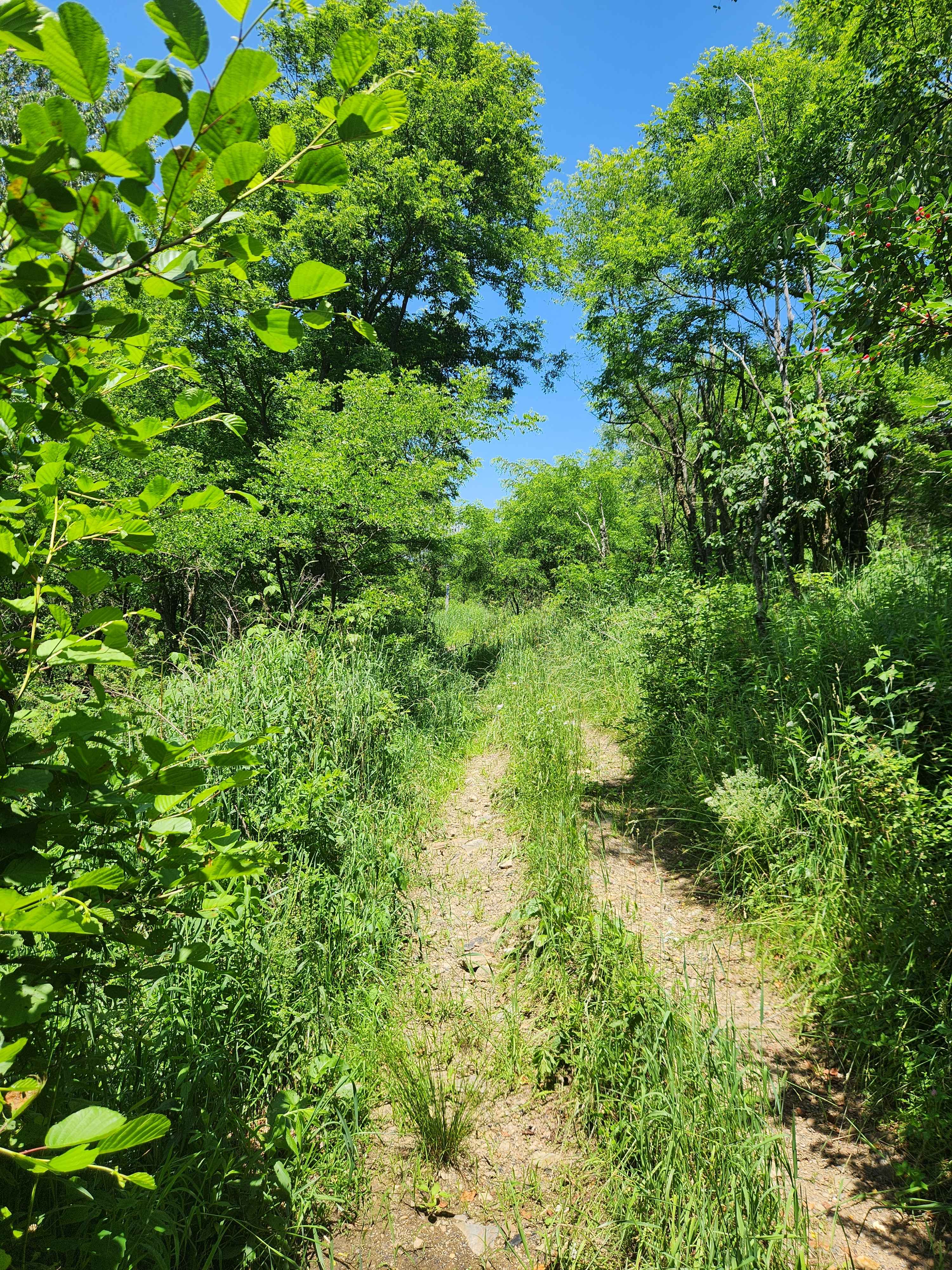 Trail 9A - Rock Run Recreation Area