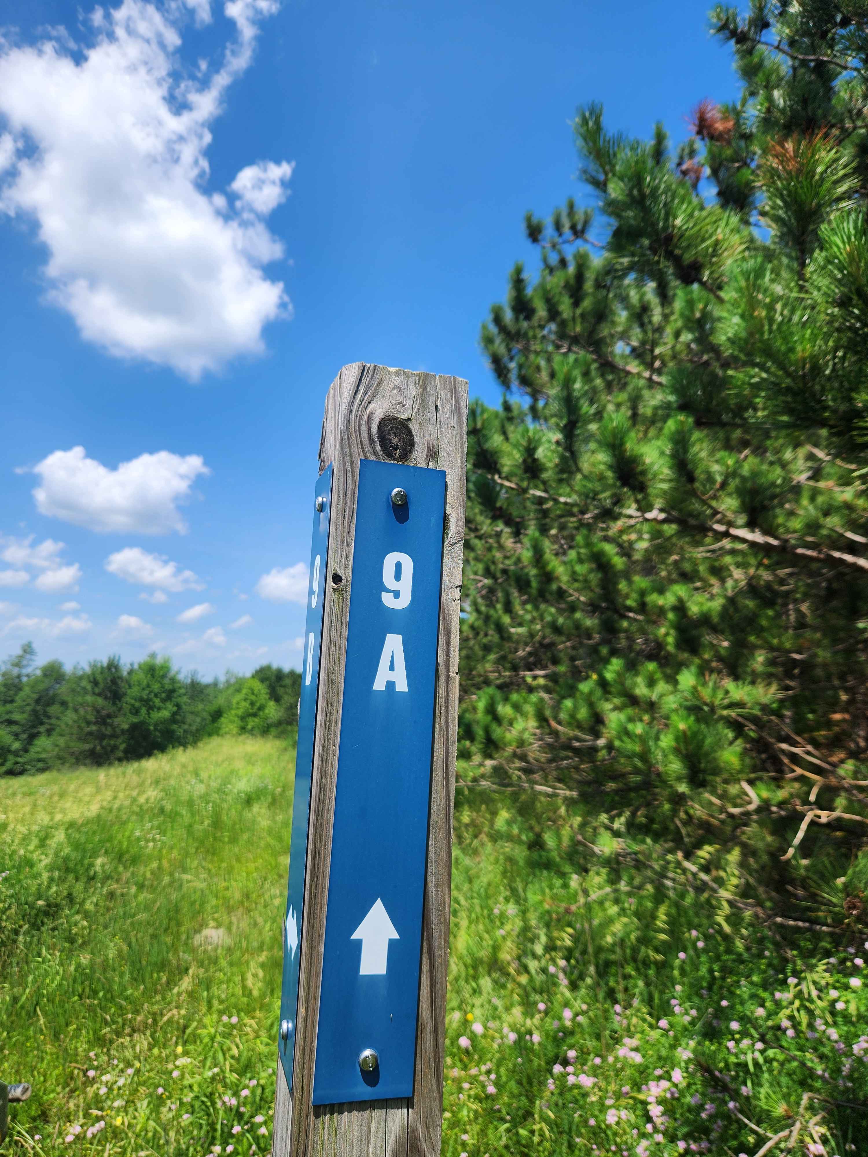 Trail 9A - Rock Run Recreation Area