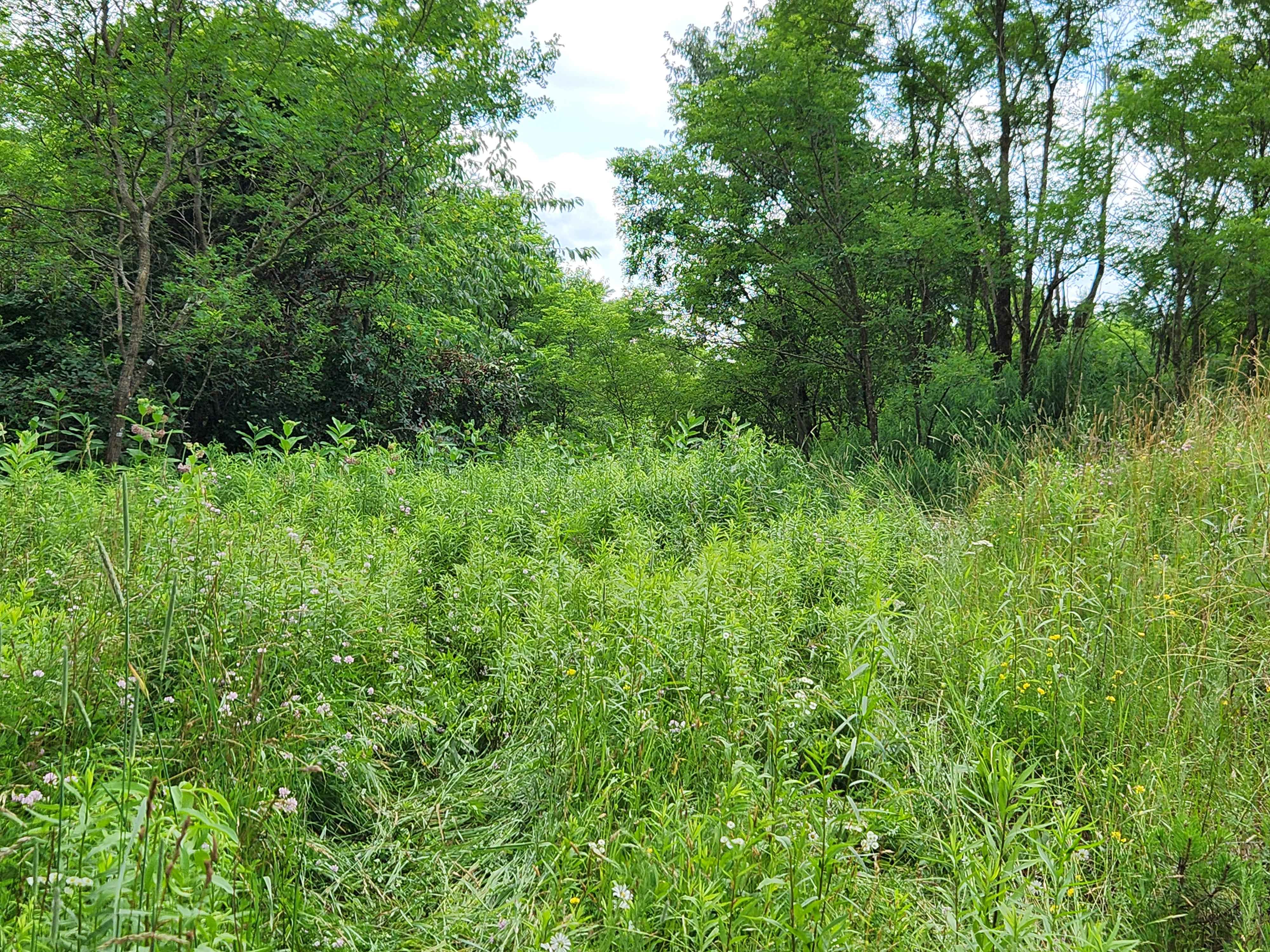 Trail 8F - Rock Run Recreation Area