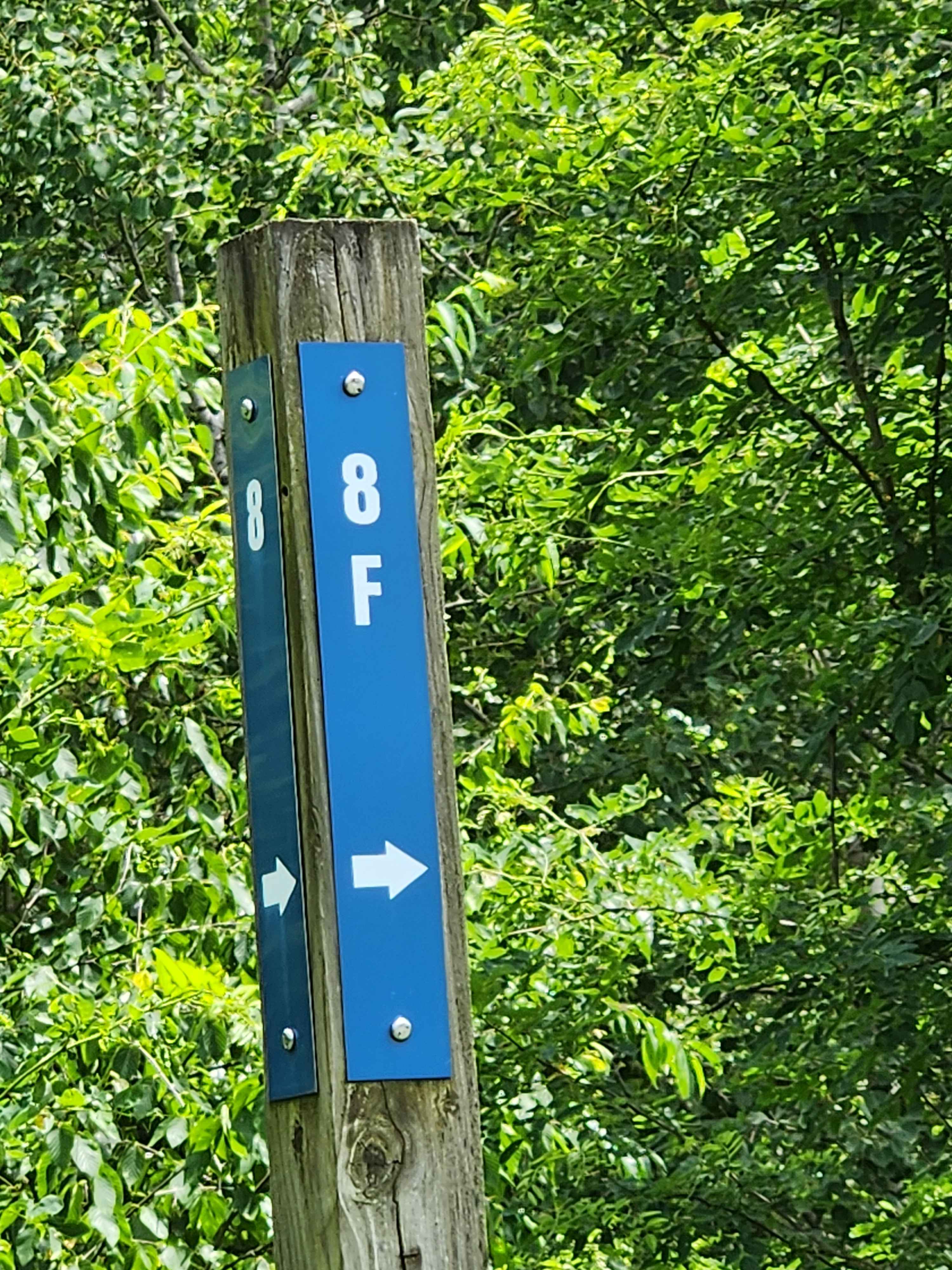 Trail 8F - Rock Run Recreation Area