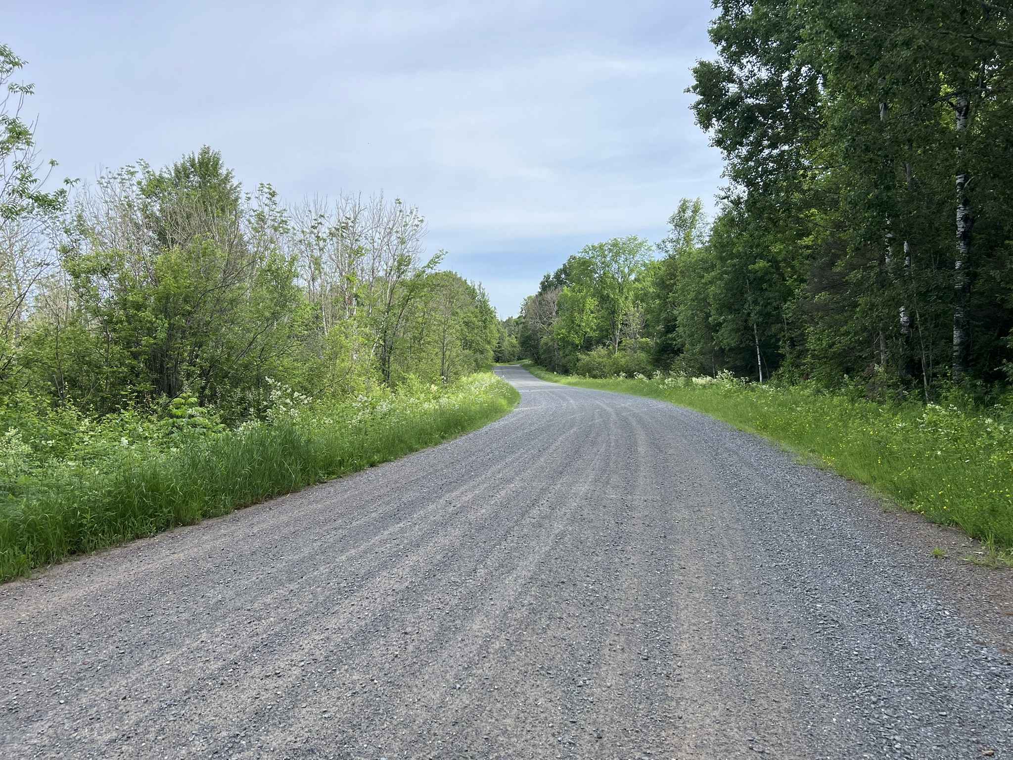 Trail LL - Paulding Lights